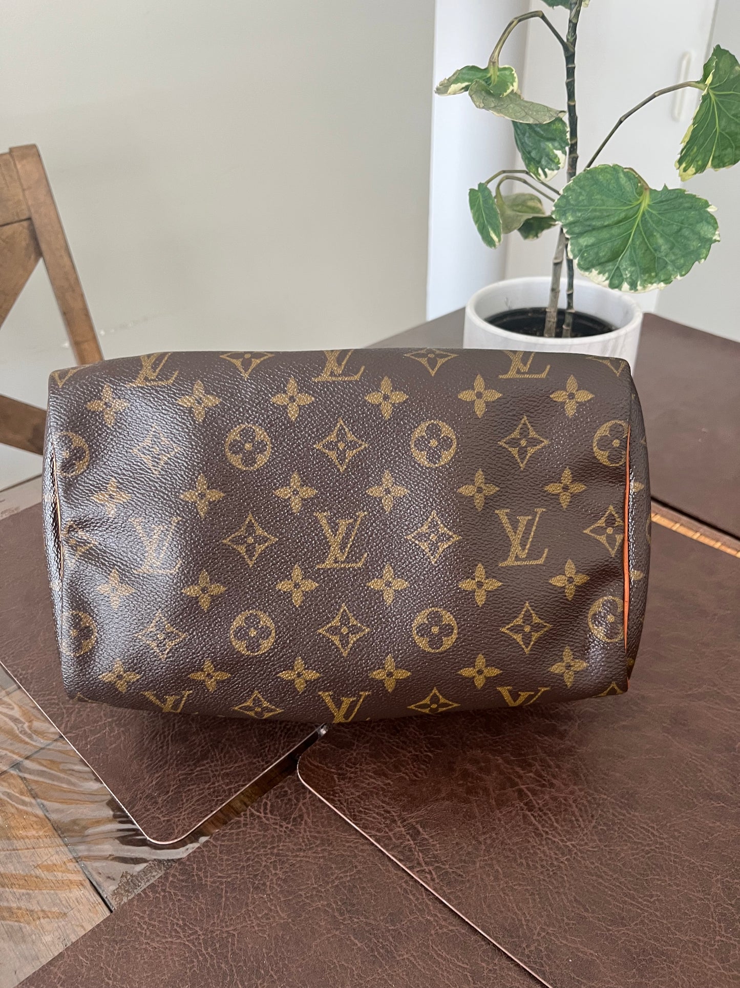 Speedy 25 in Monogram