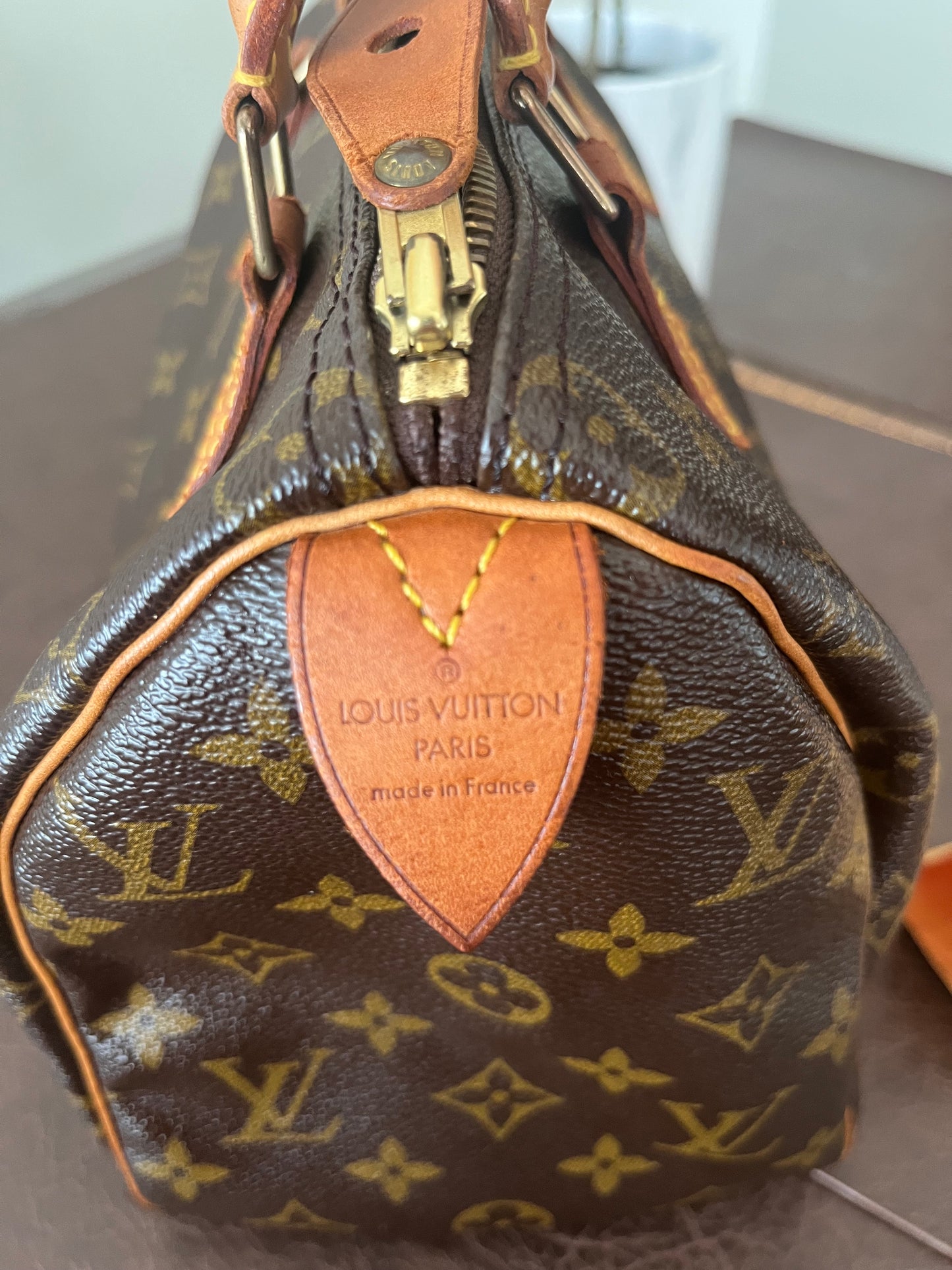 Speedy 25 in Monogram