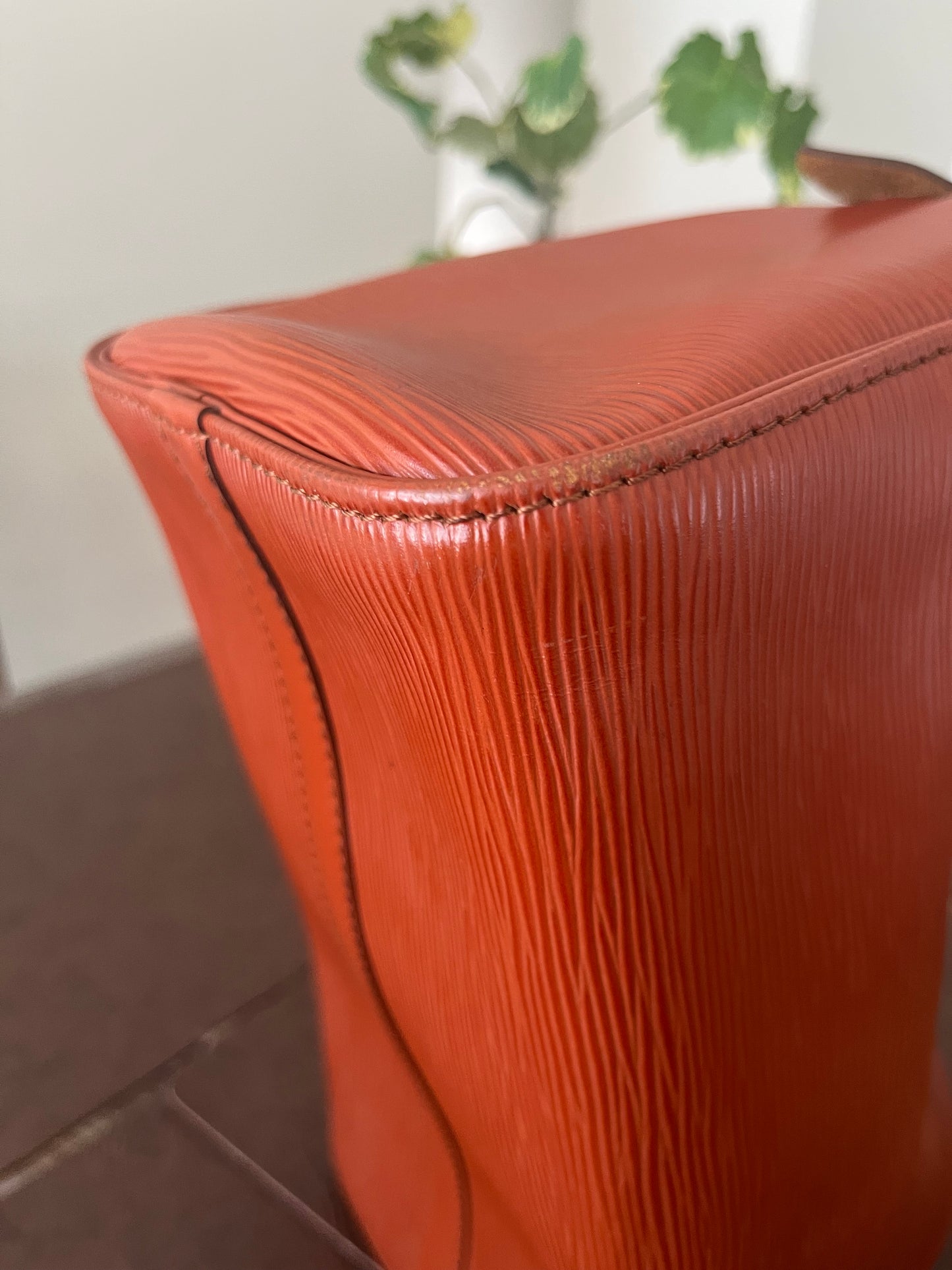 Speedy 25 in Epi Leather