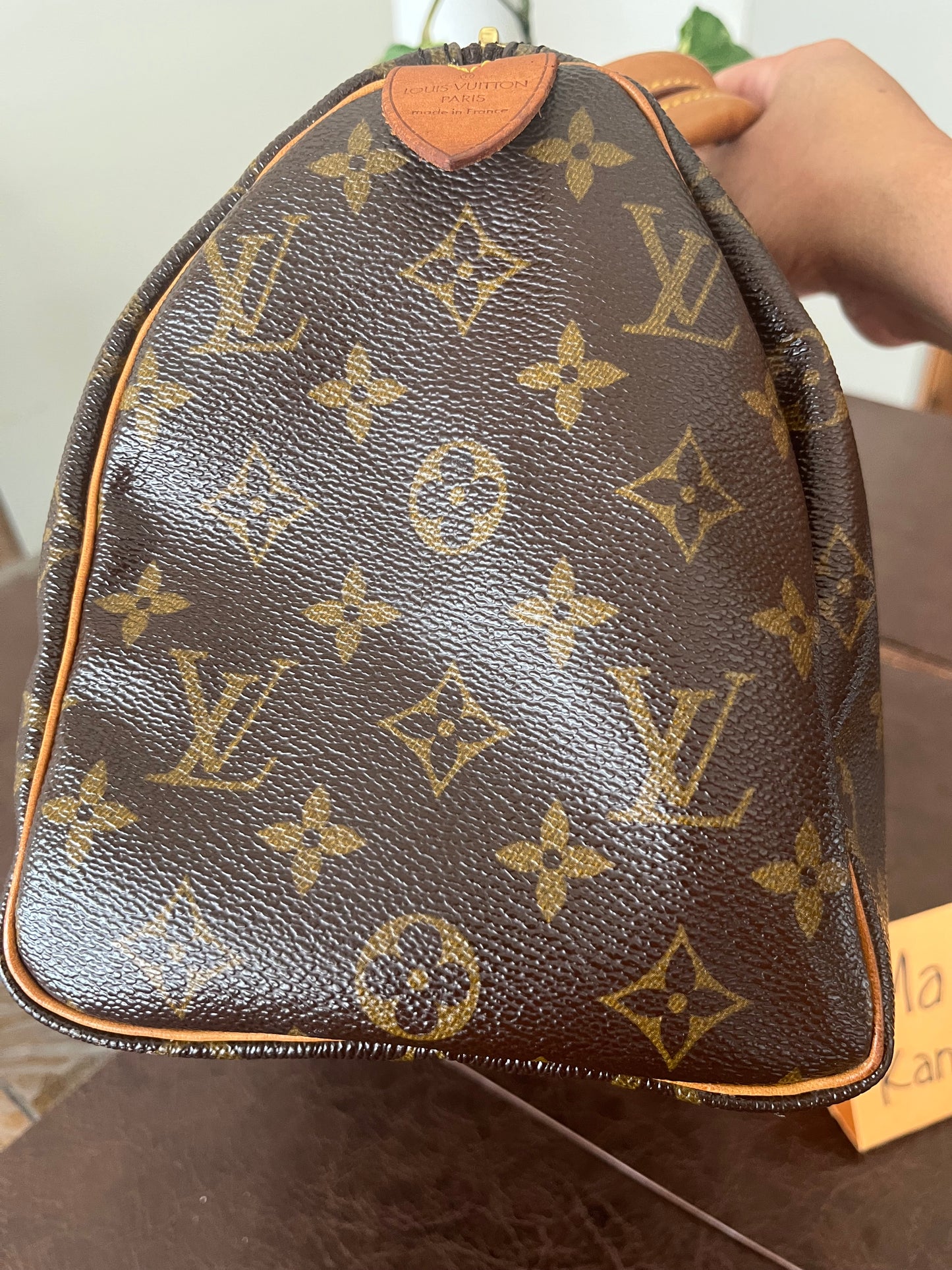 Speedy 25 in Monogram