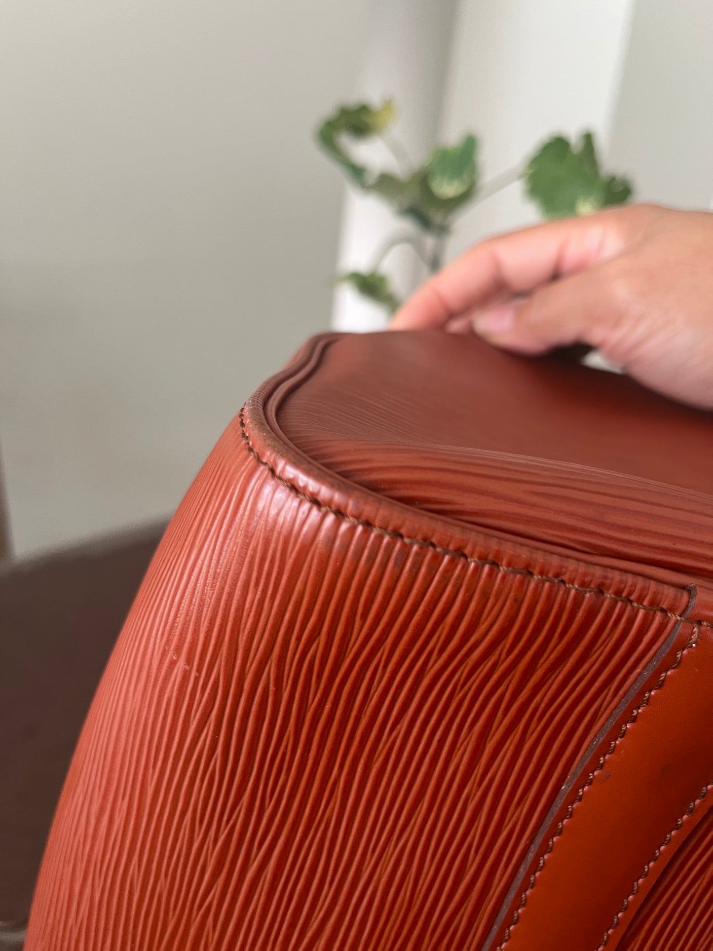 Speedy 25 in Epi Leather