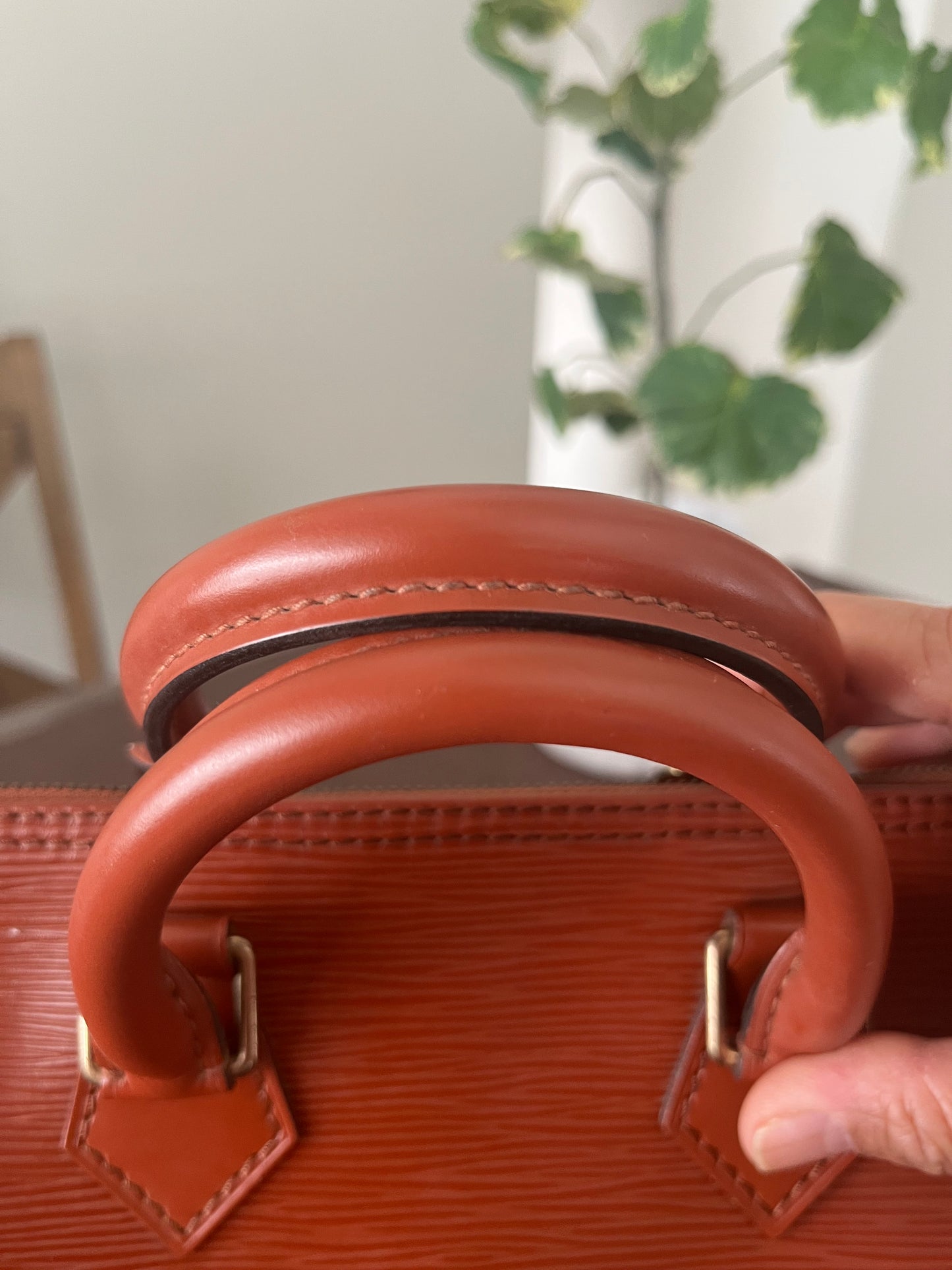 Speedy 25 in Epi Leather