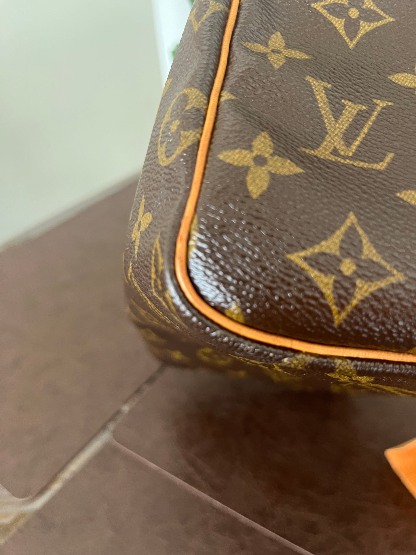 Speedy 25 in Monogram
