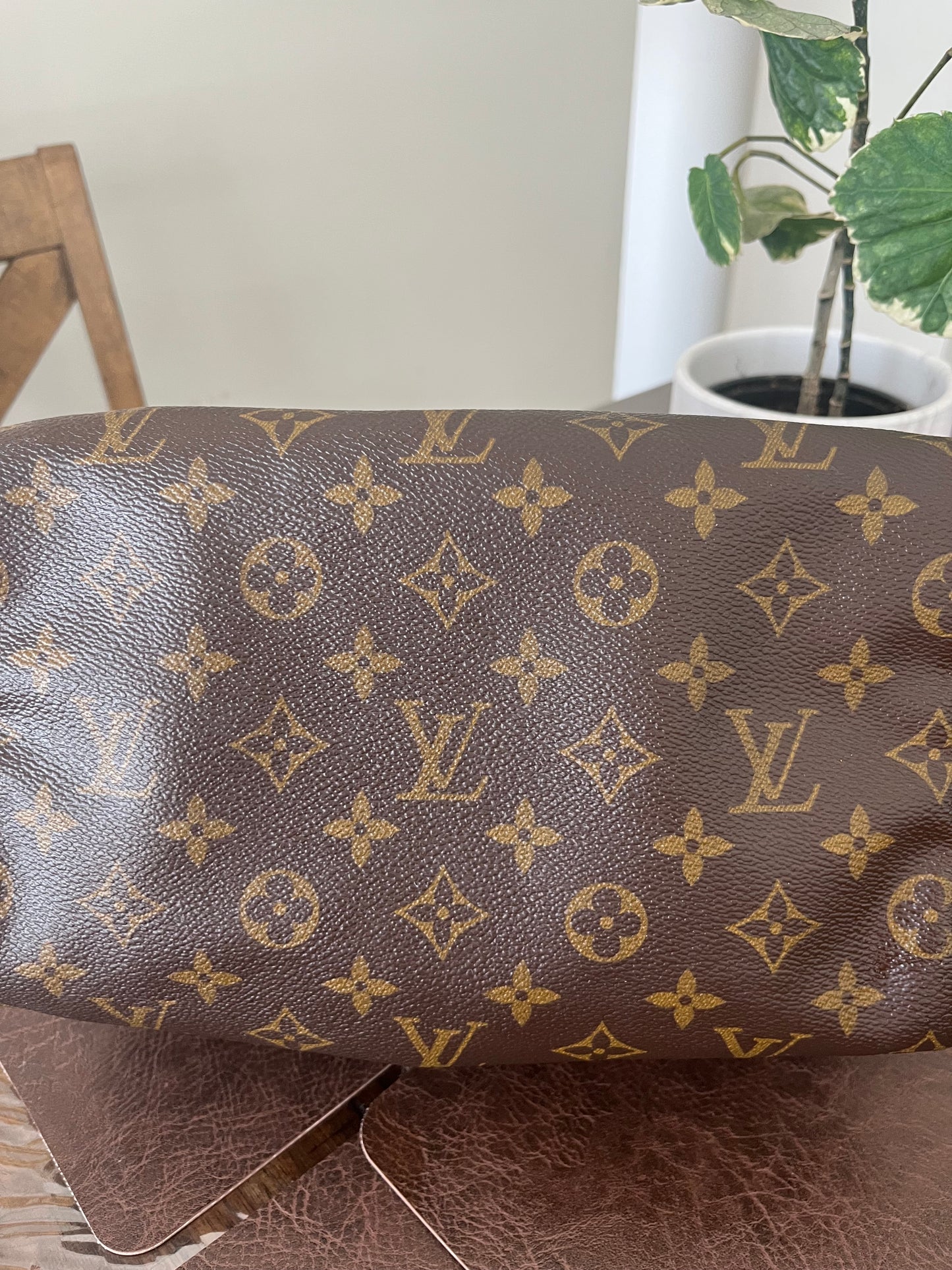 Speedy 25 in Monogram