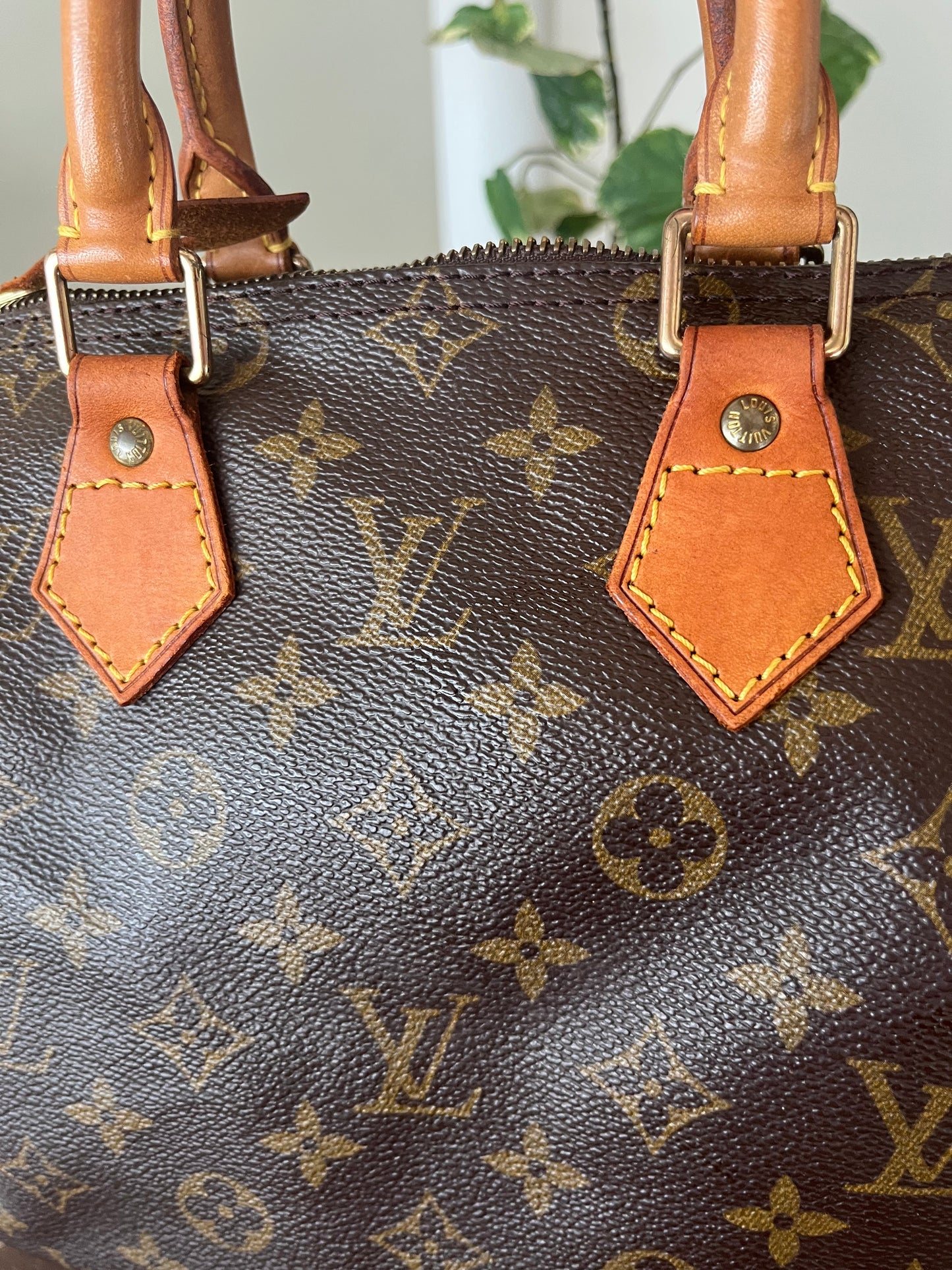 Speedy 25 in Monogram