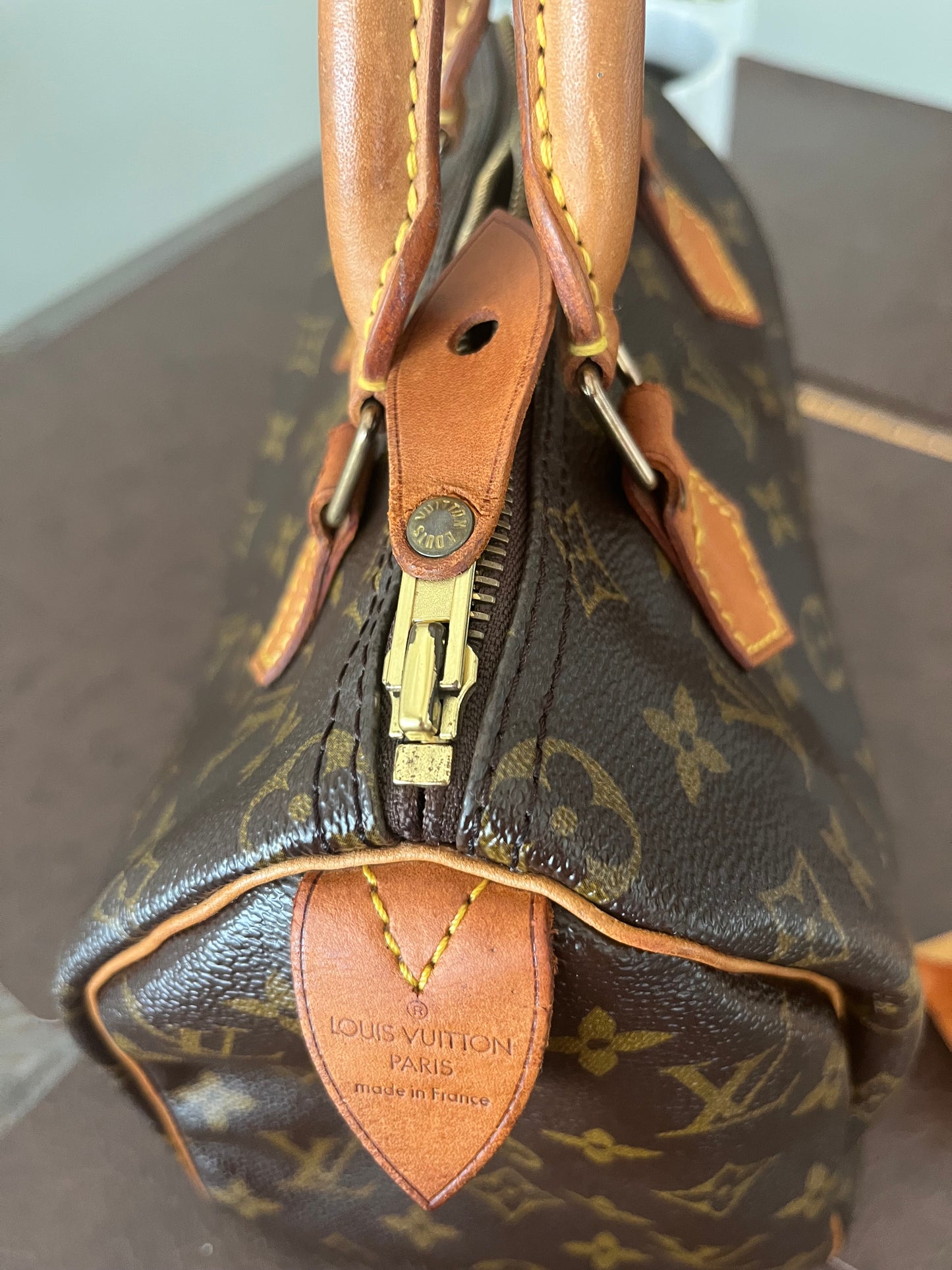 Speedy 25 in Monogram
