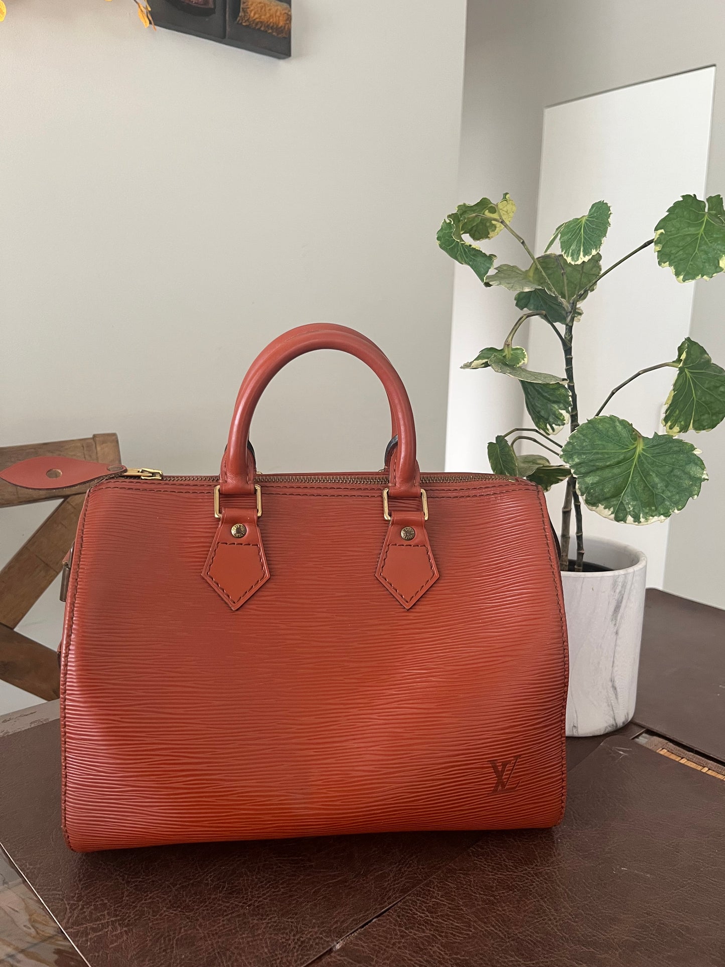 Speedy 25 in Epi Leather