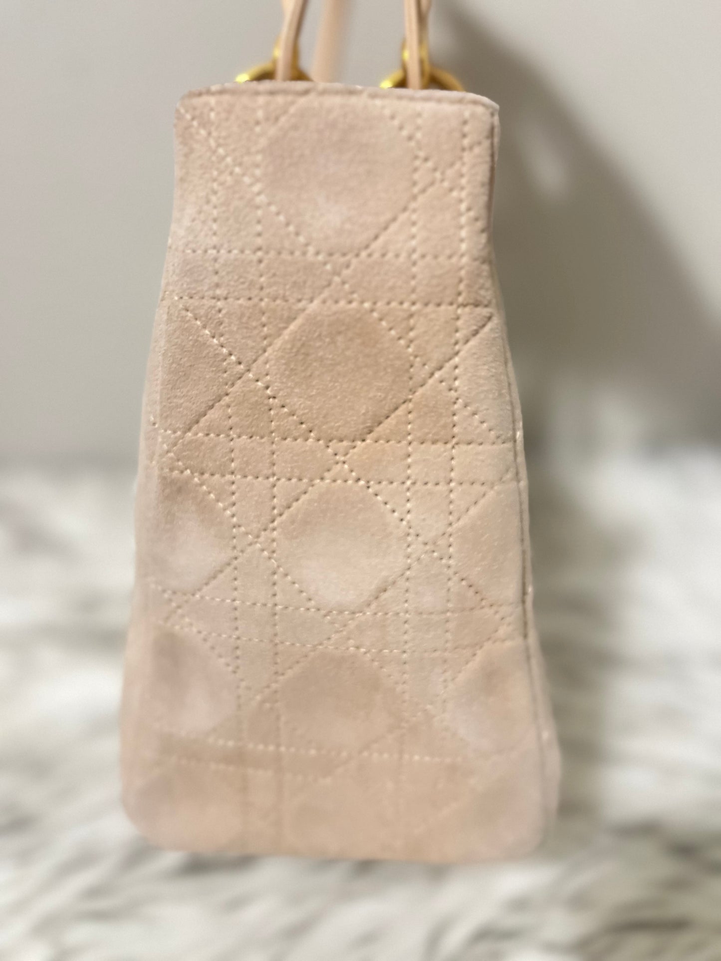 Lady Dior Medium in Suede
