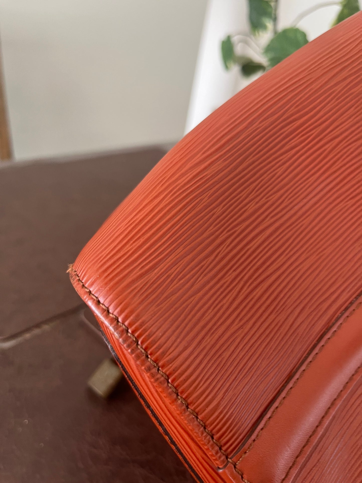 Speedy 25 in Epi Leather