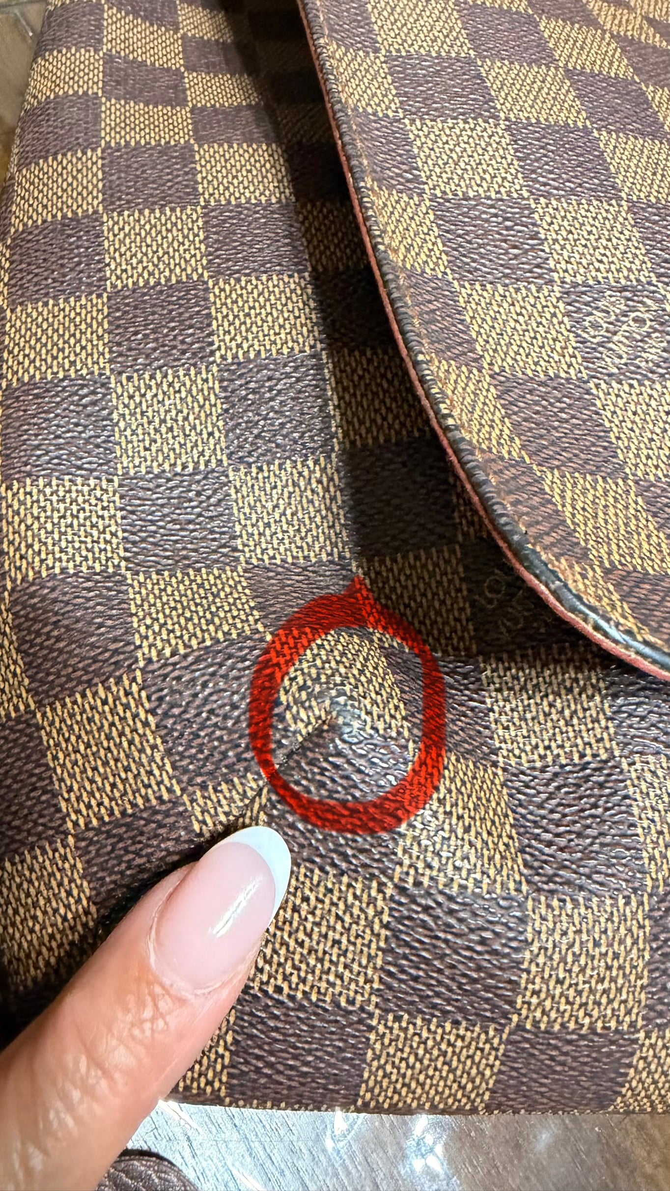Musette Salsa GM