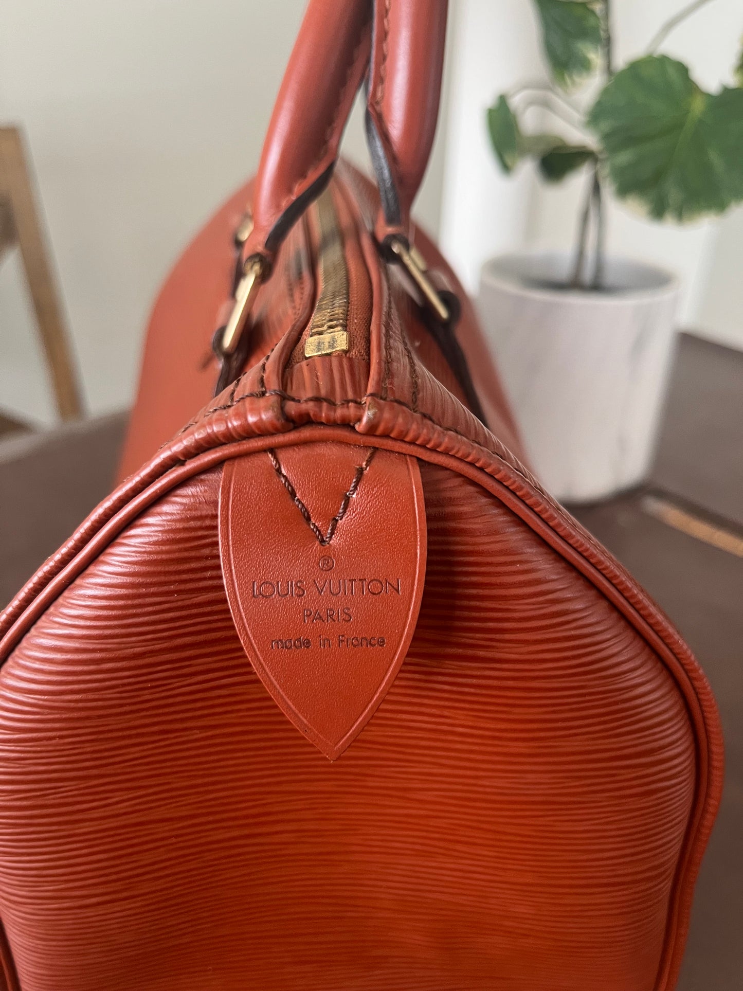Speedy 25 in Epi Leather