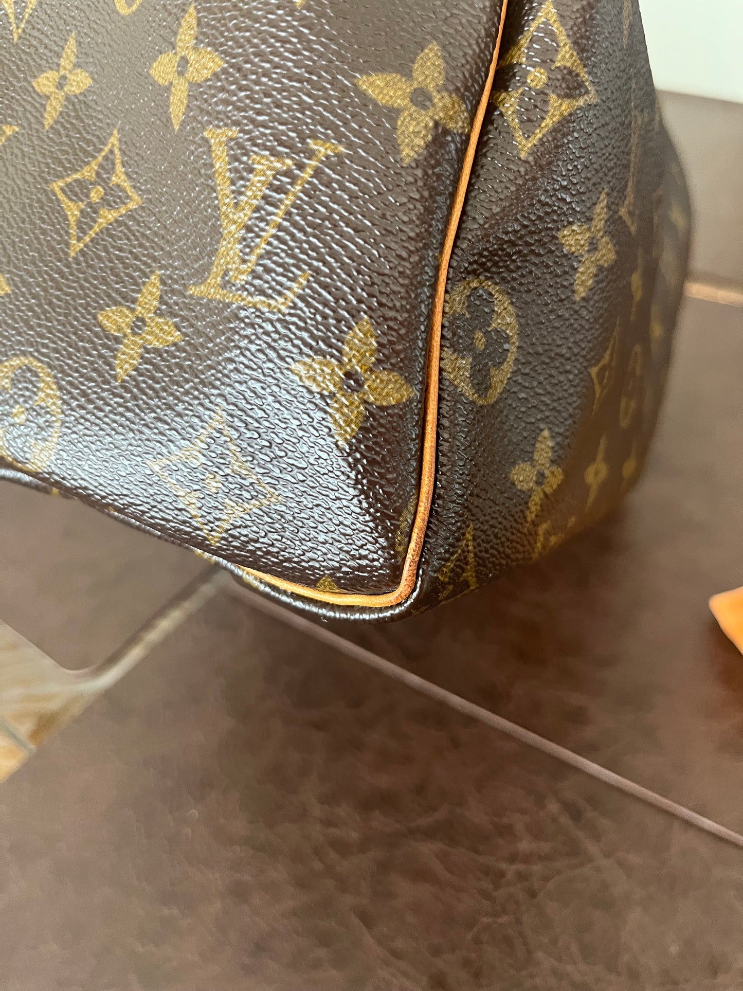 Speedy 25 in Monogram
