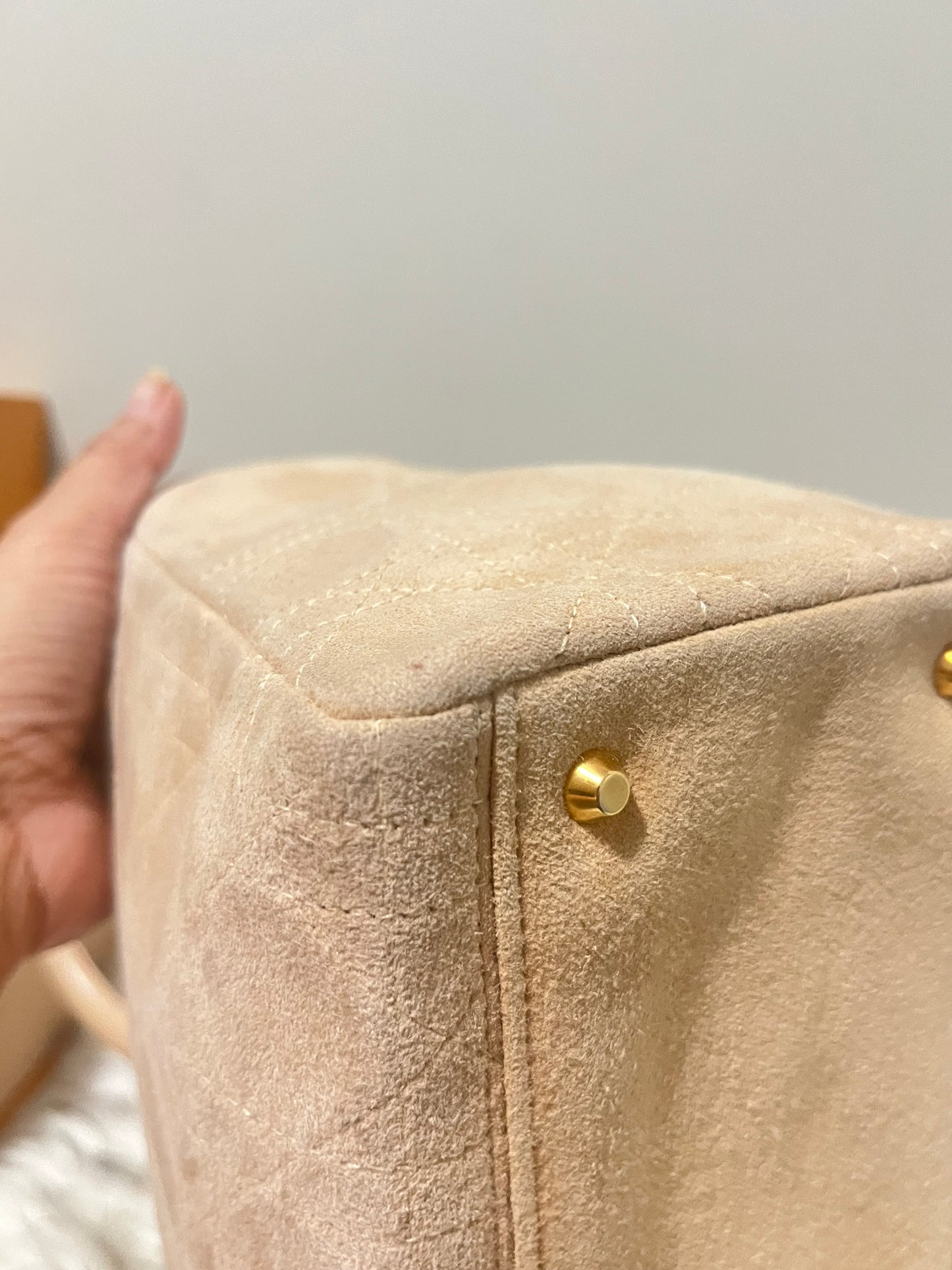 Lady Dior Medium in Suede