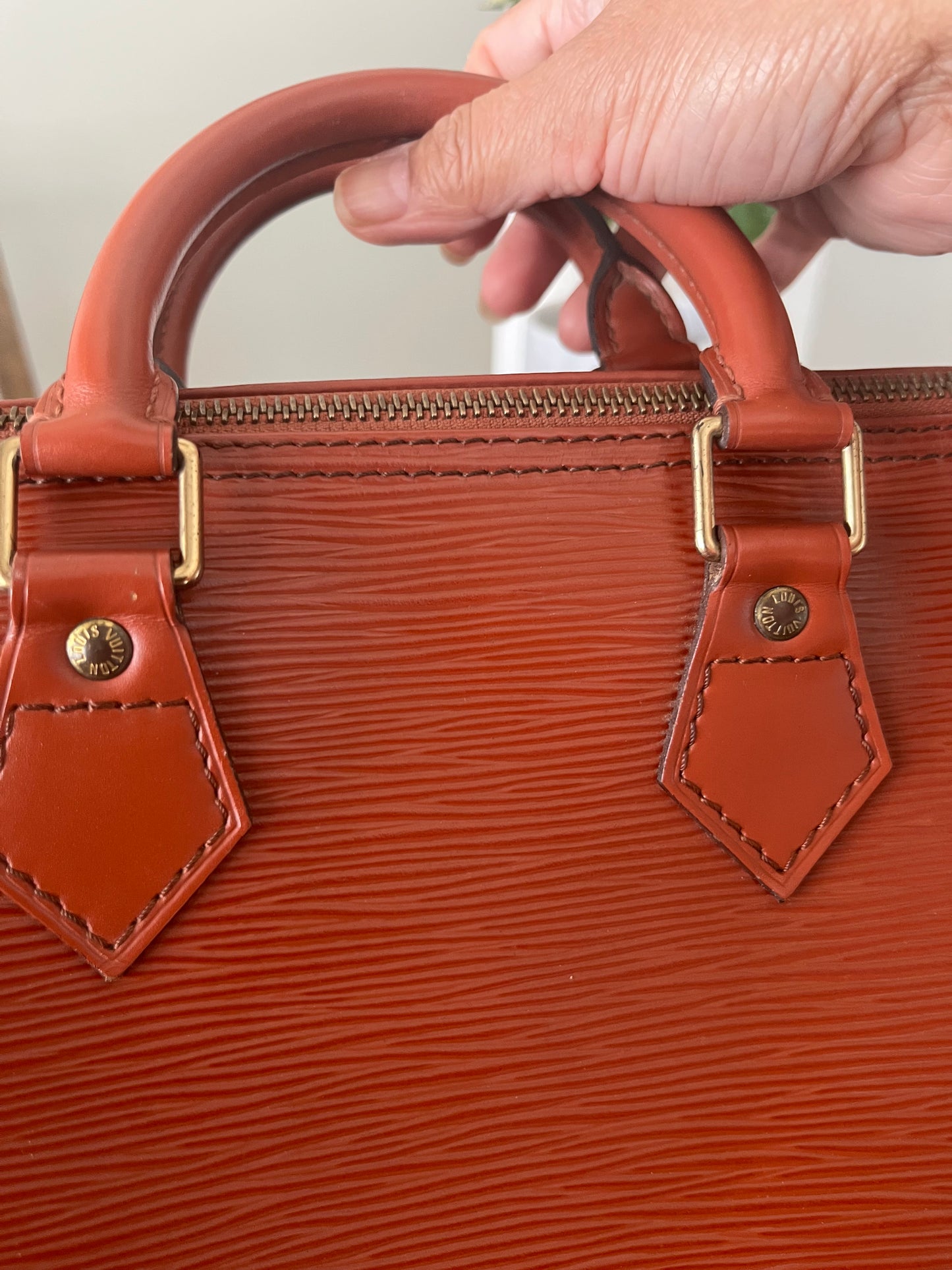 Speedy 25 in Epi Leather