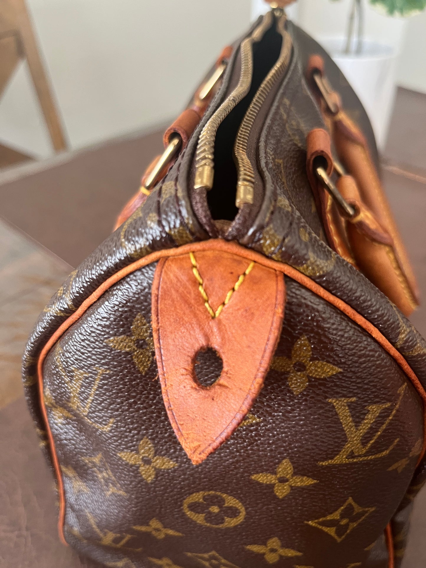 Speedy 25 in Monogram