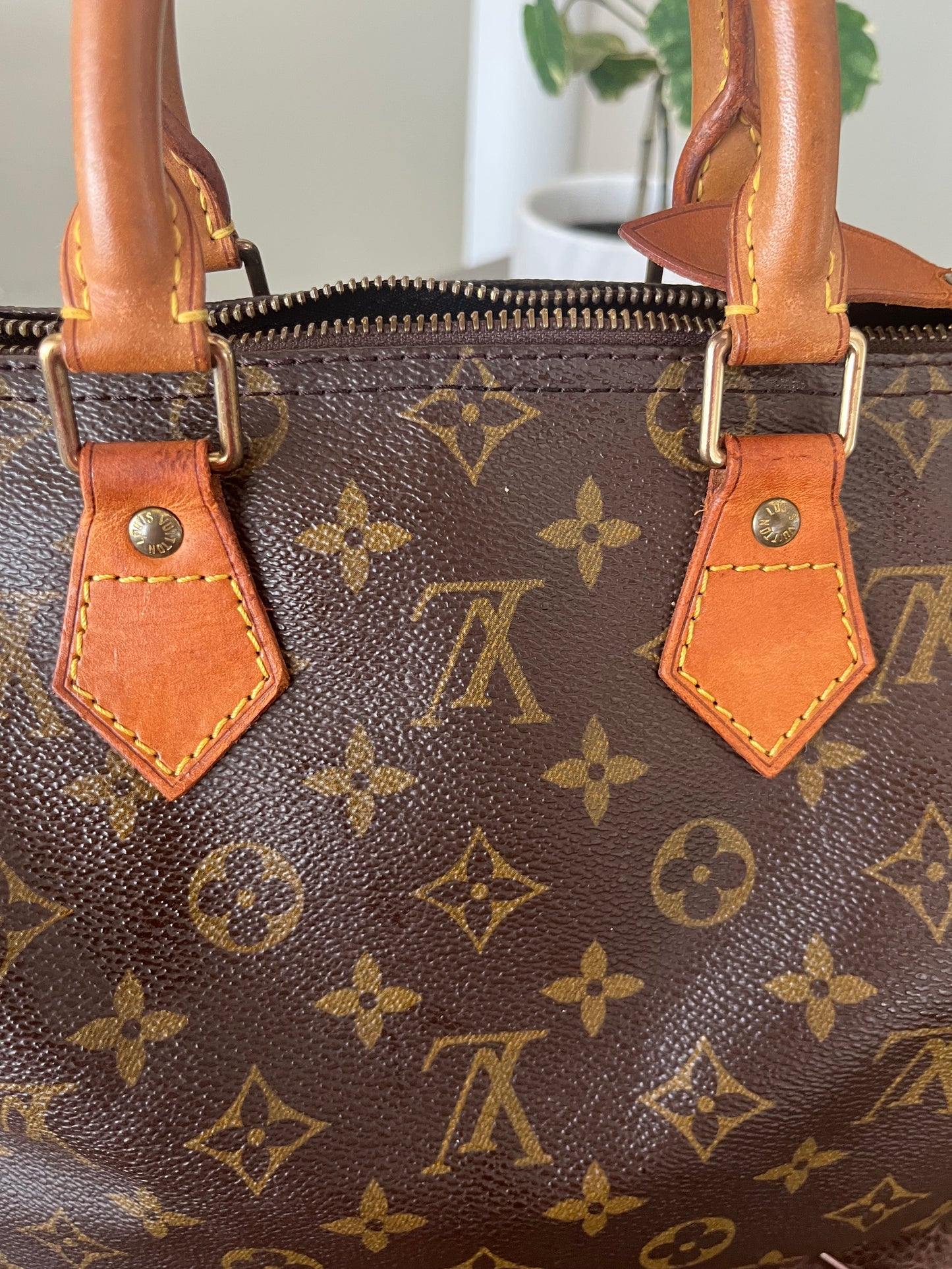 Speedy 25 in Monogram