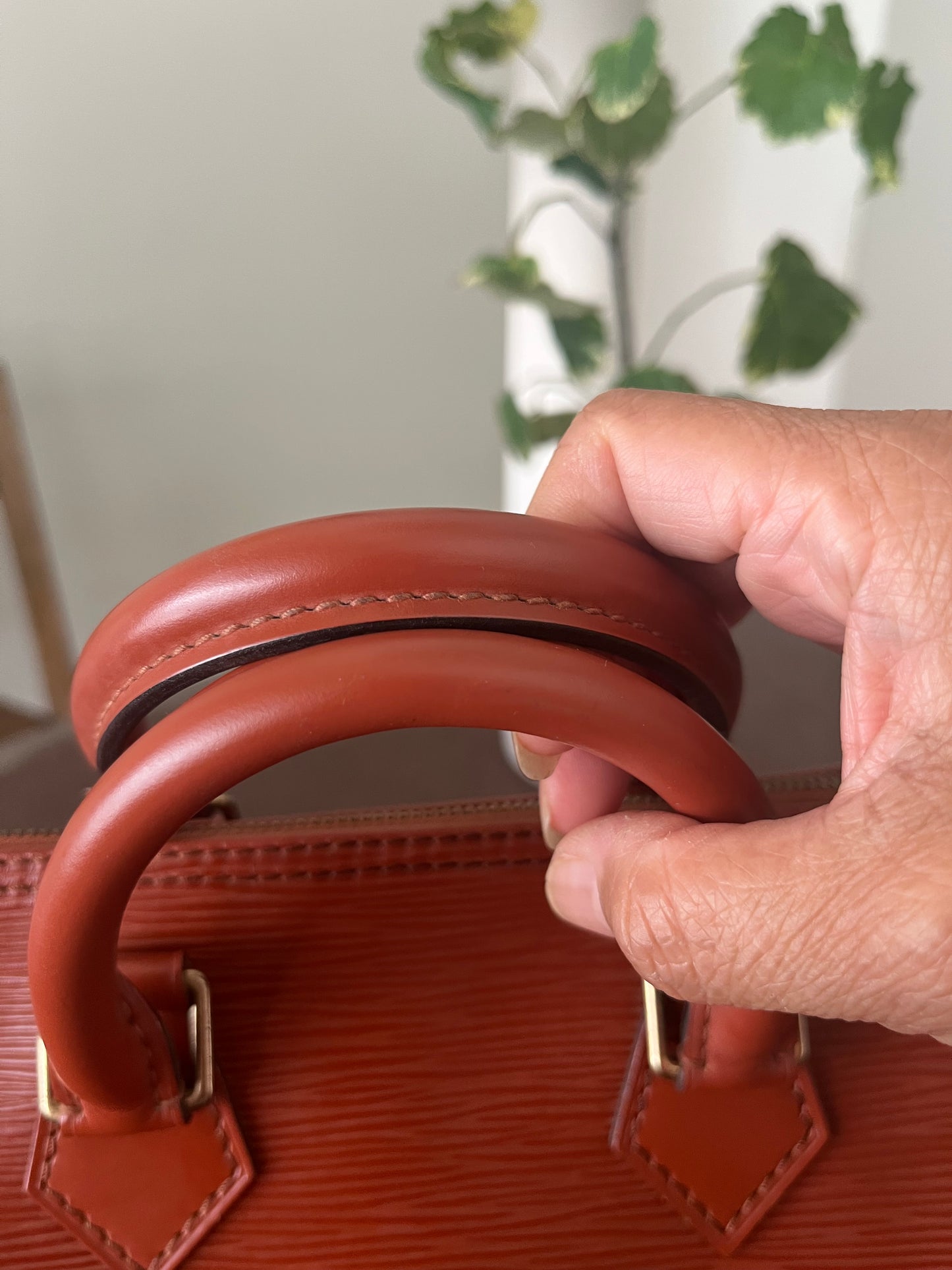 Speedy 25 in Epi Leather