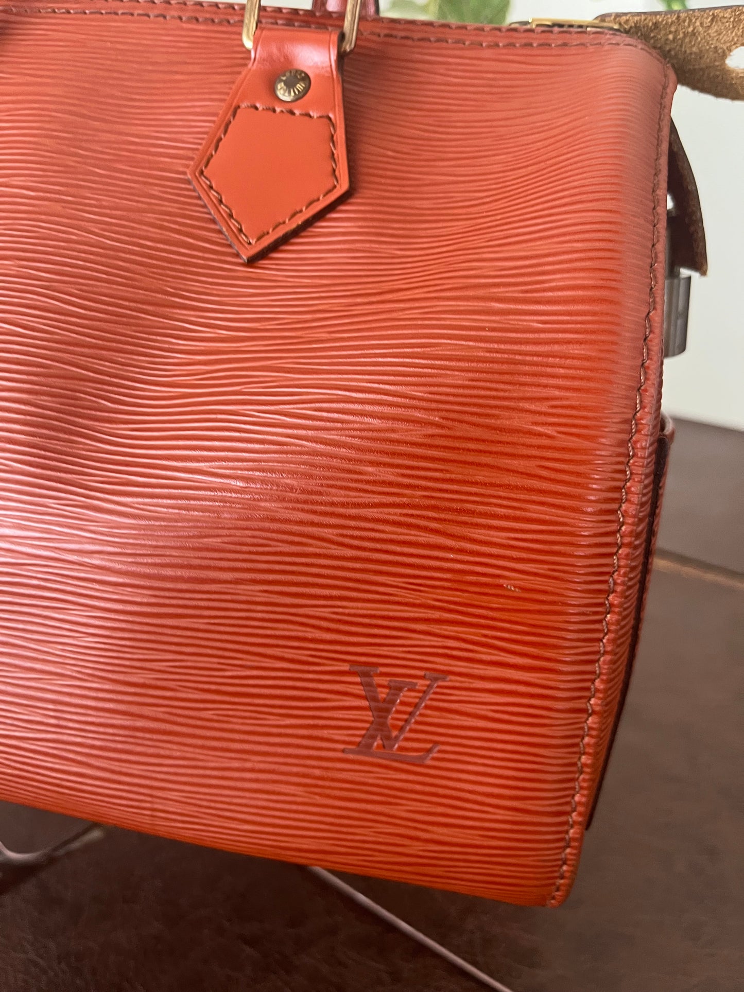Speedy 25 in Epi Leather