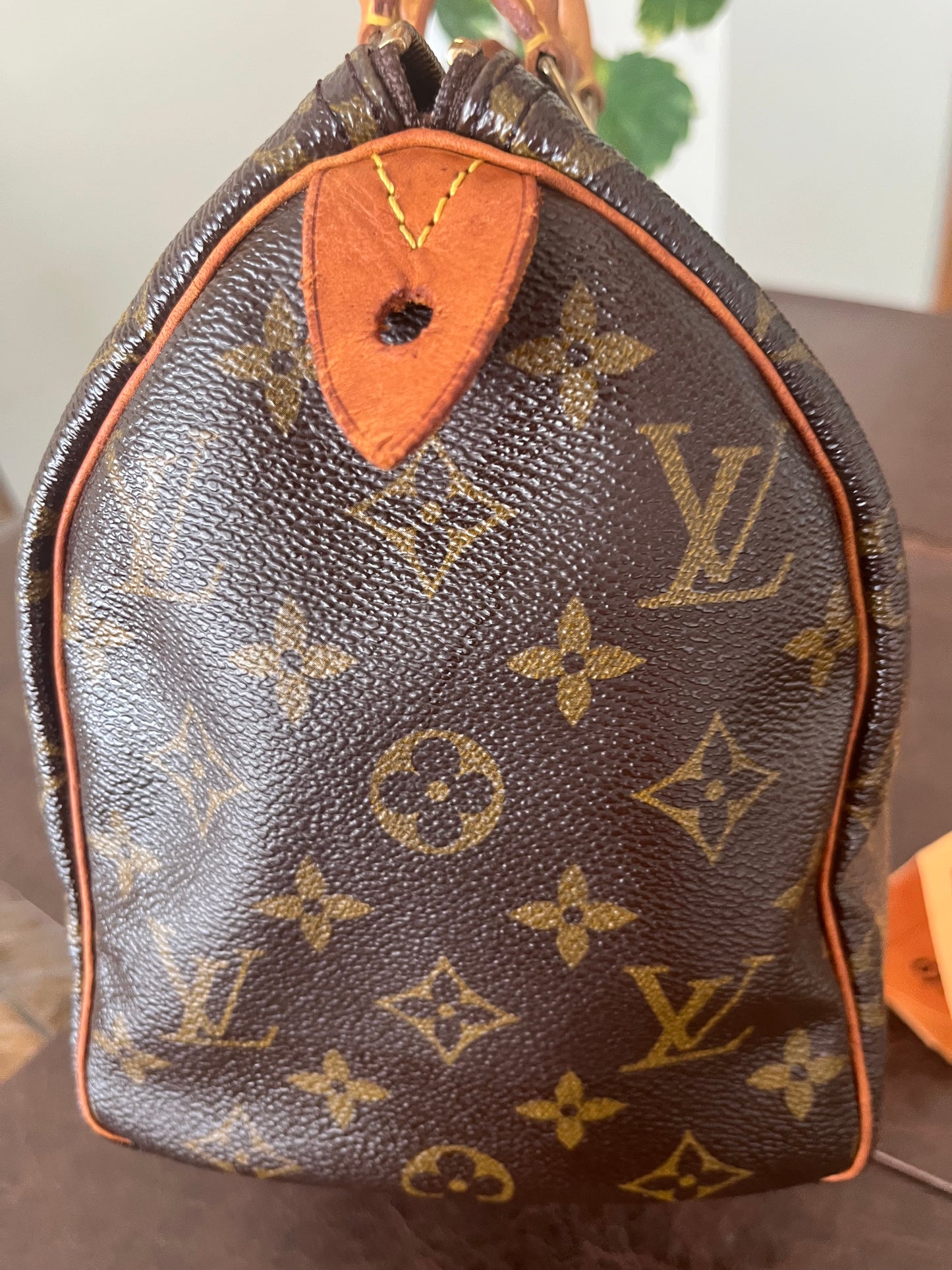 Speedy 25 in Monogram
