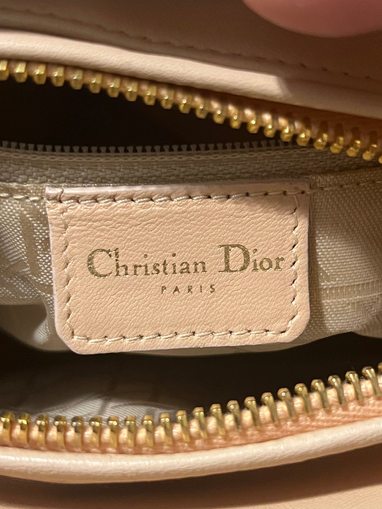 Lady Dior Medium in Suede