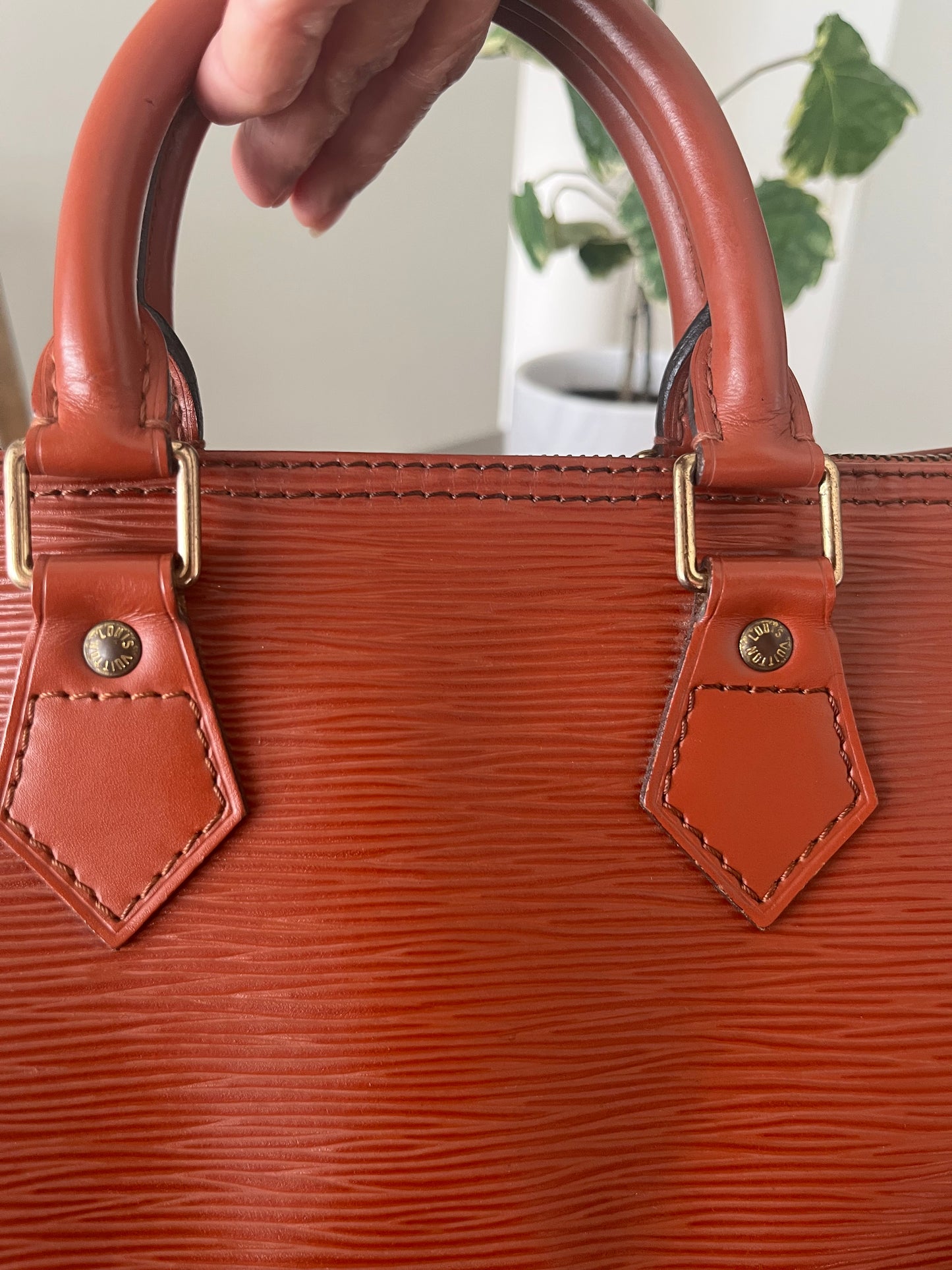 Speedy 25 in Epi Leather