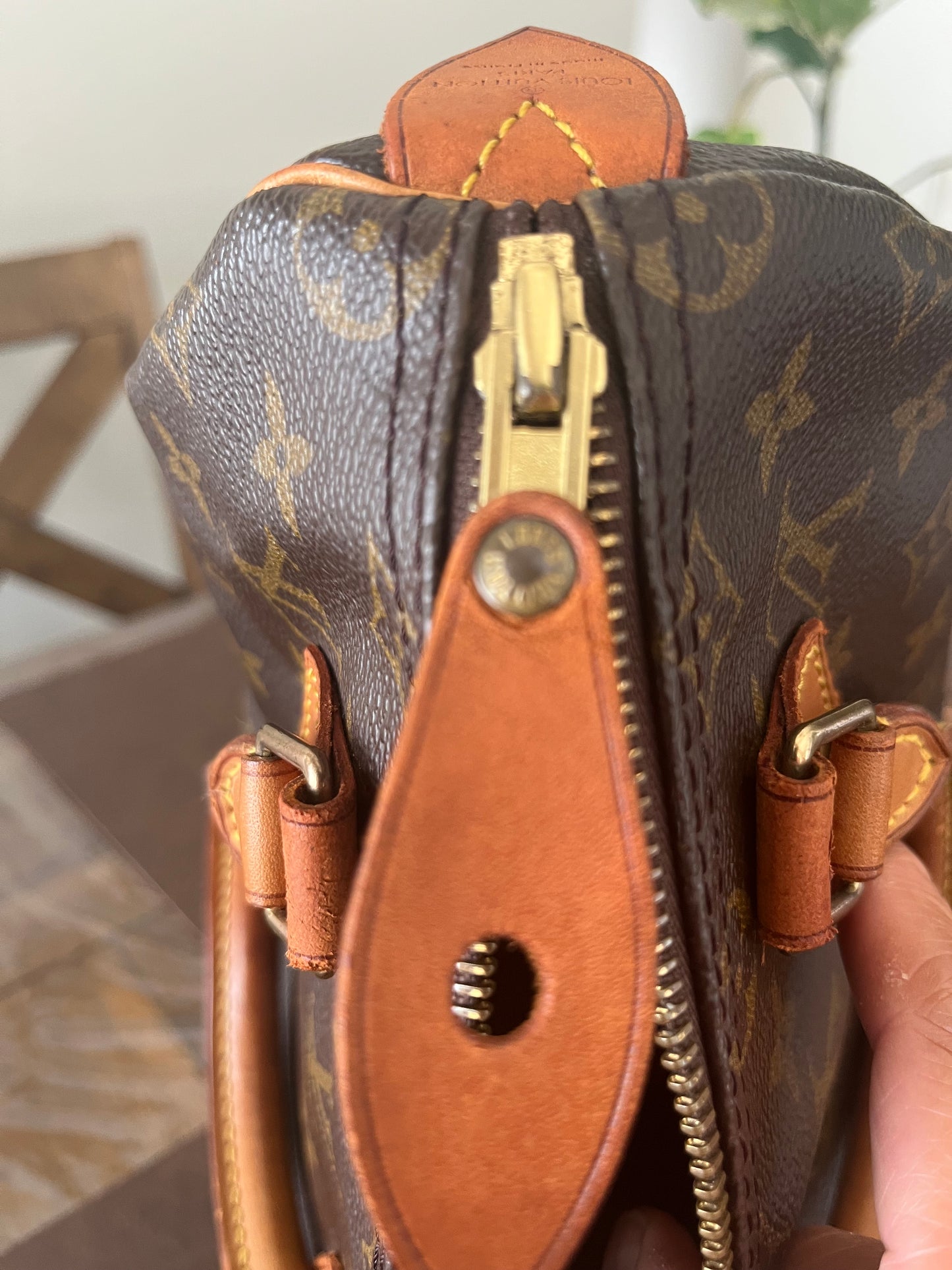 Speedy 25 in Monogram