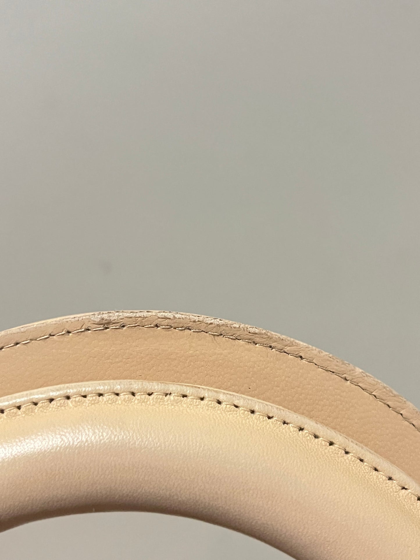 Lady Dior Medium in Suede