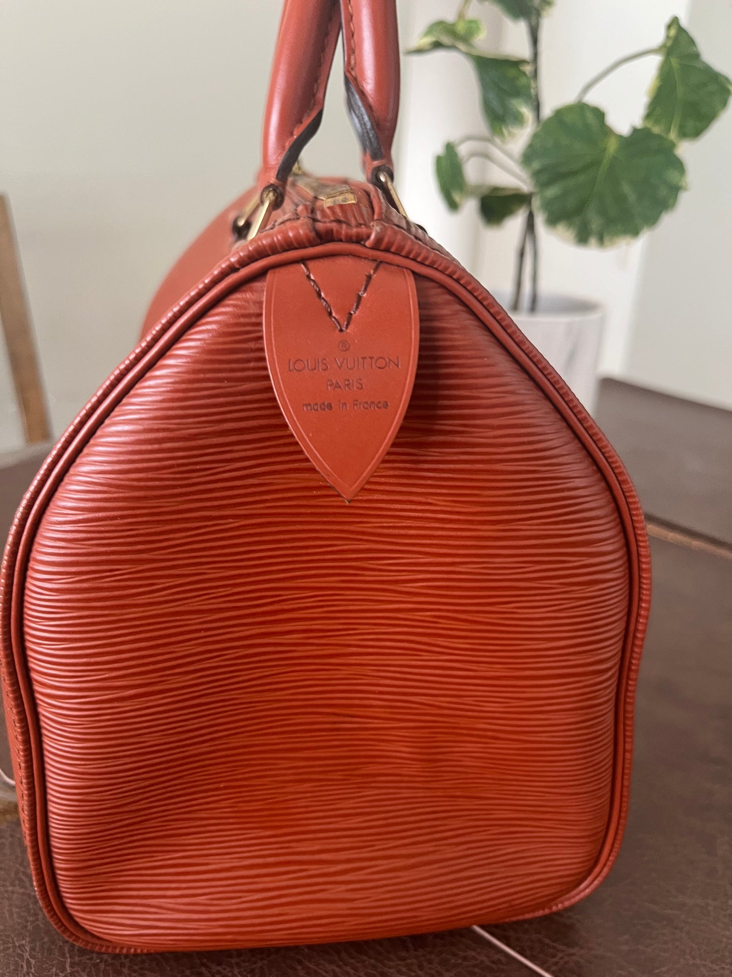 Speedy 25 in Epi Leather