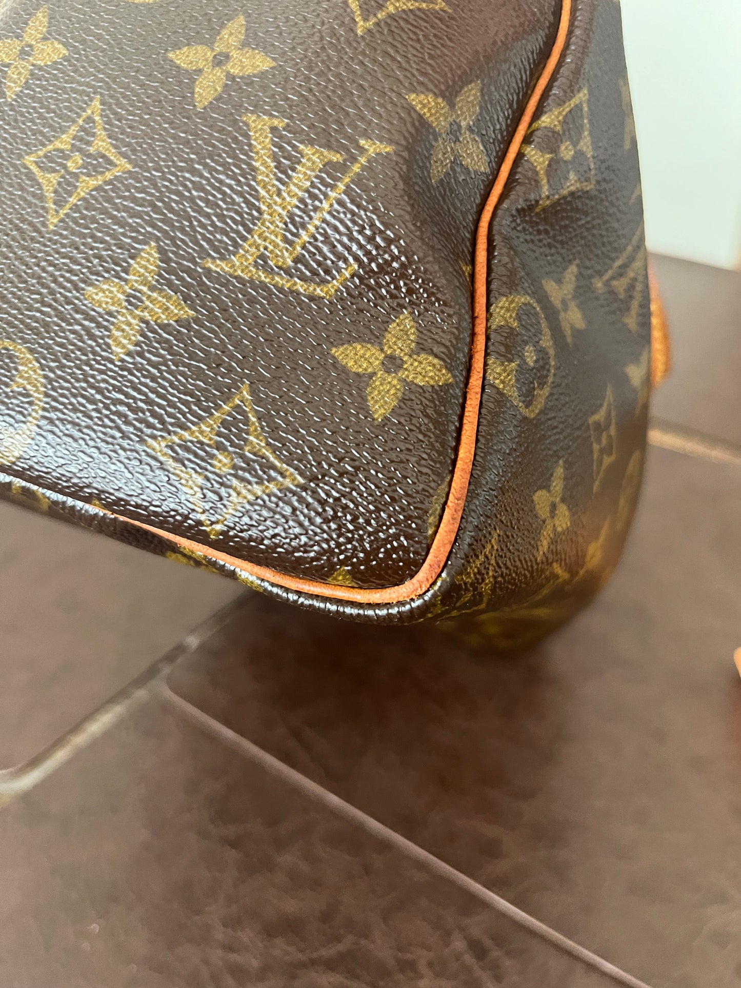 Speedy 25 in Monogram