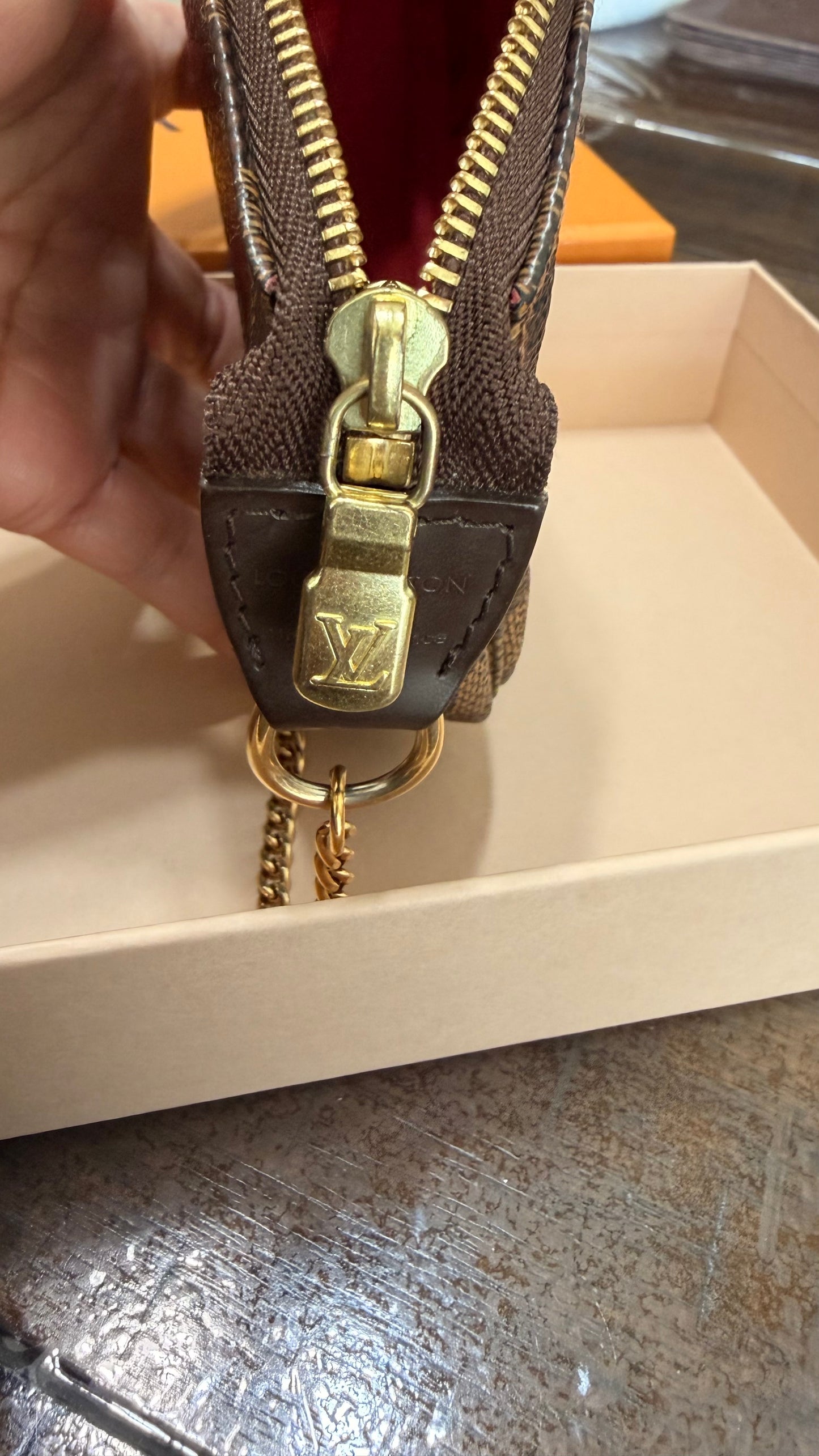 Limited Edition Mini Pochette Accessories