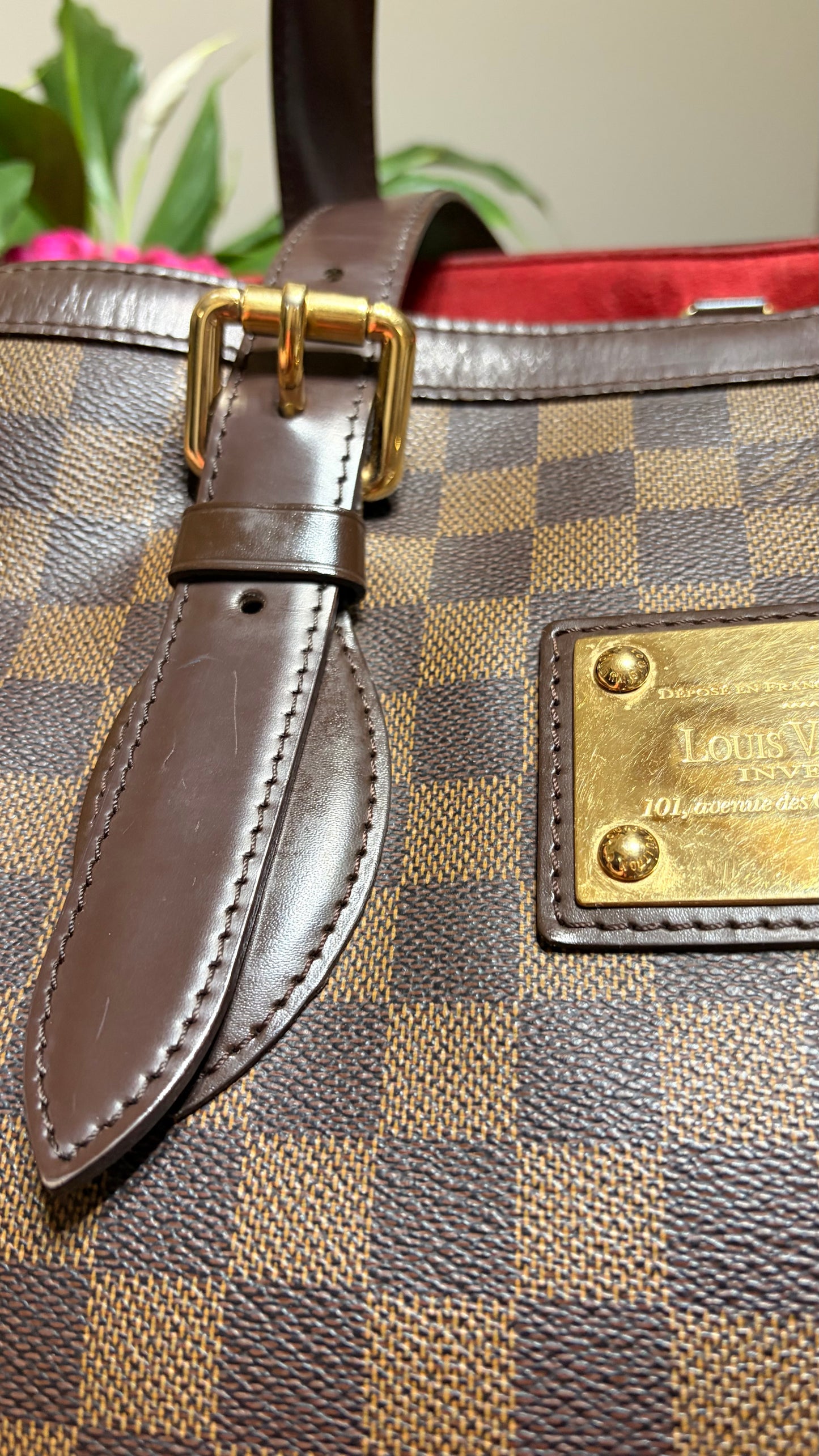 Hampstead in Damier MM