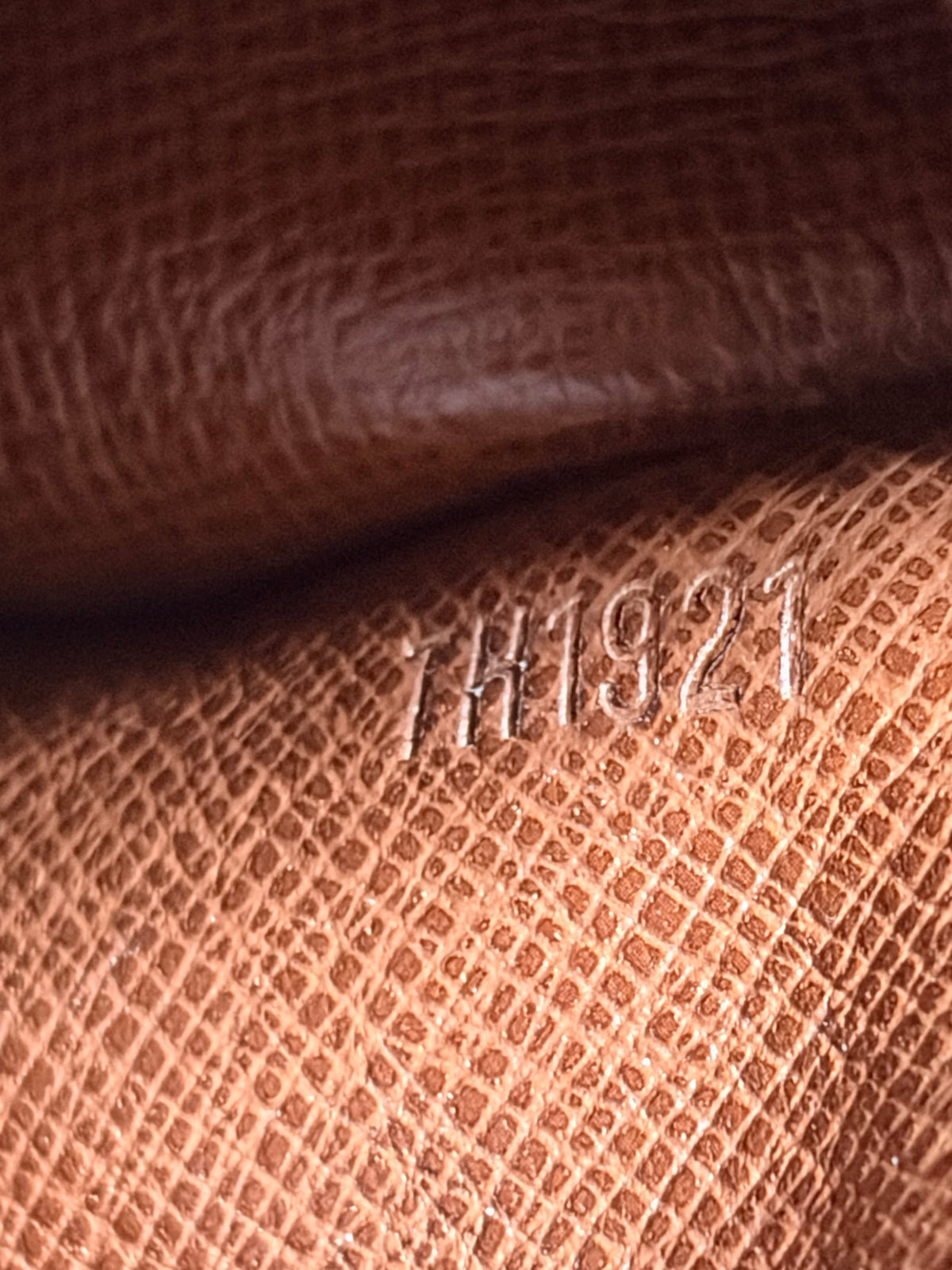 Papillon In Monogram 30