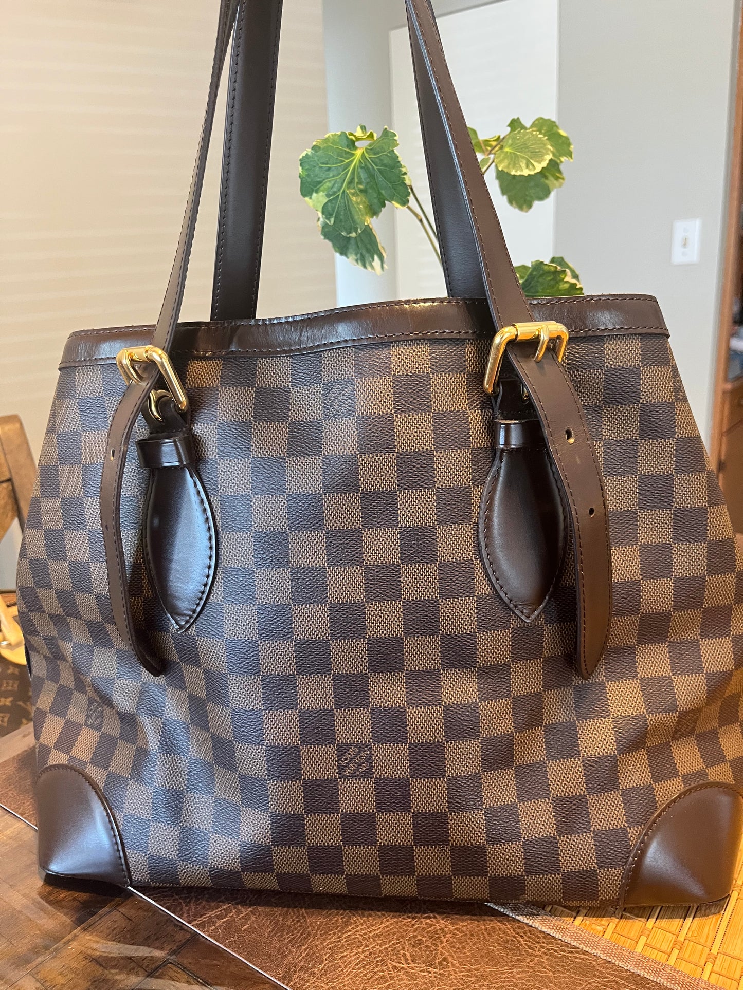Hampstead in Damier MM
