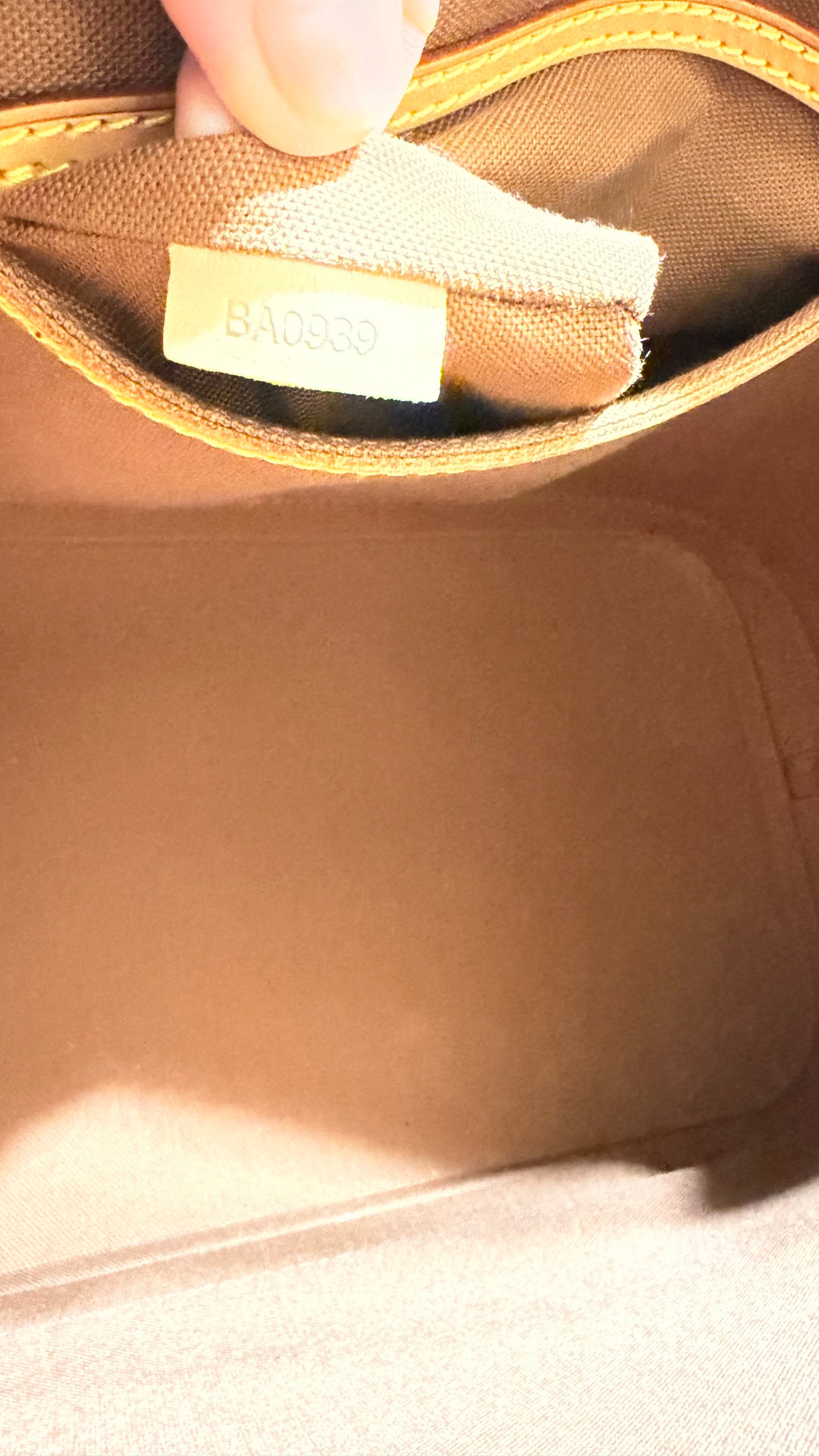 Alma PM in Monogram