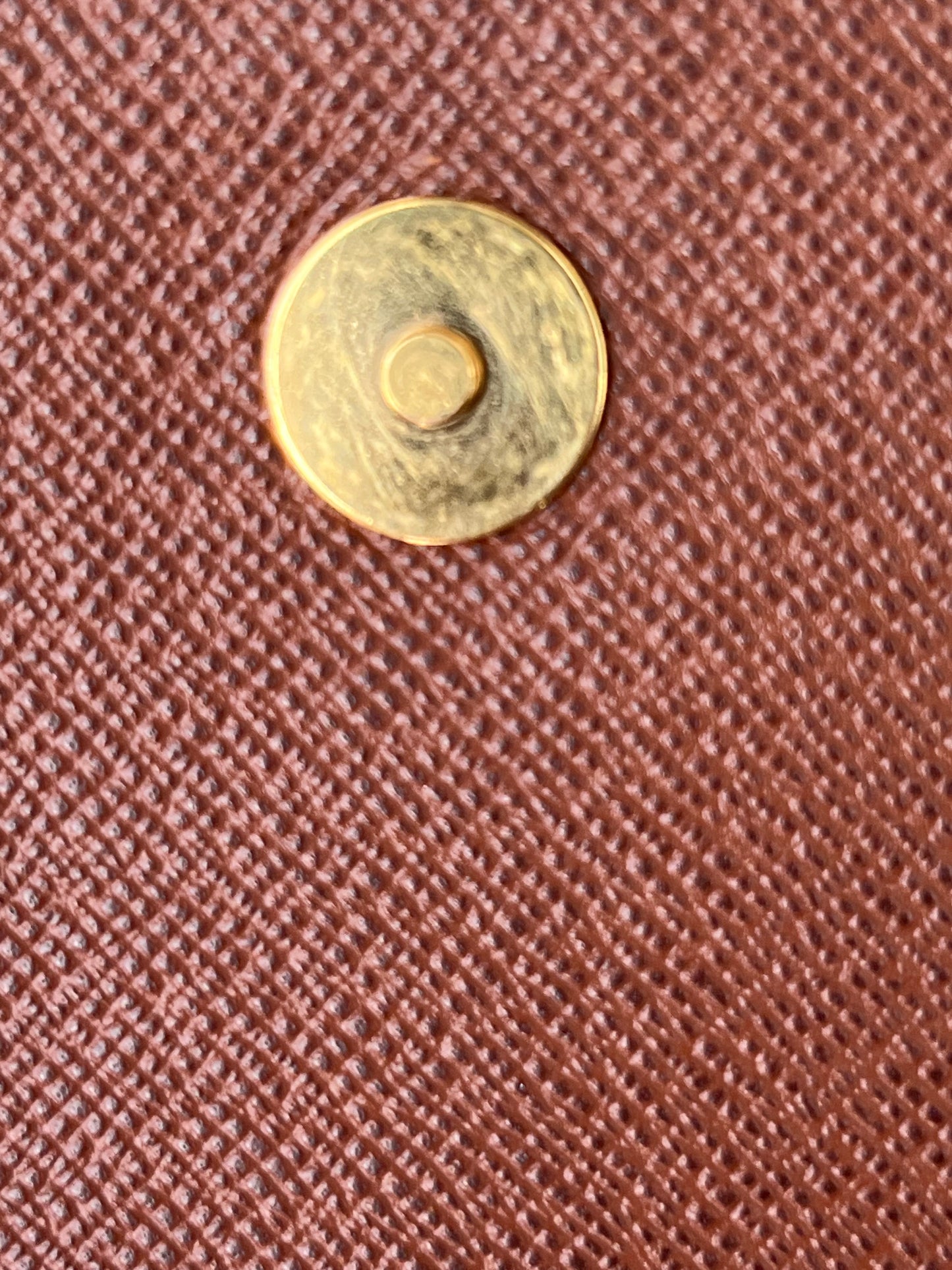 Musette Tango in Monogram