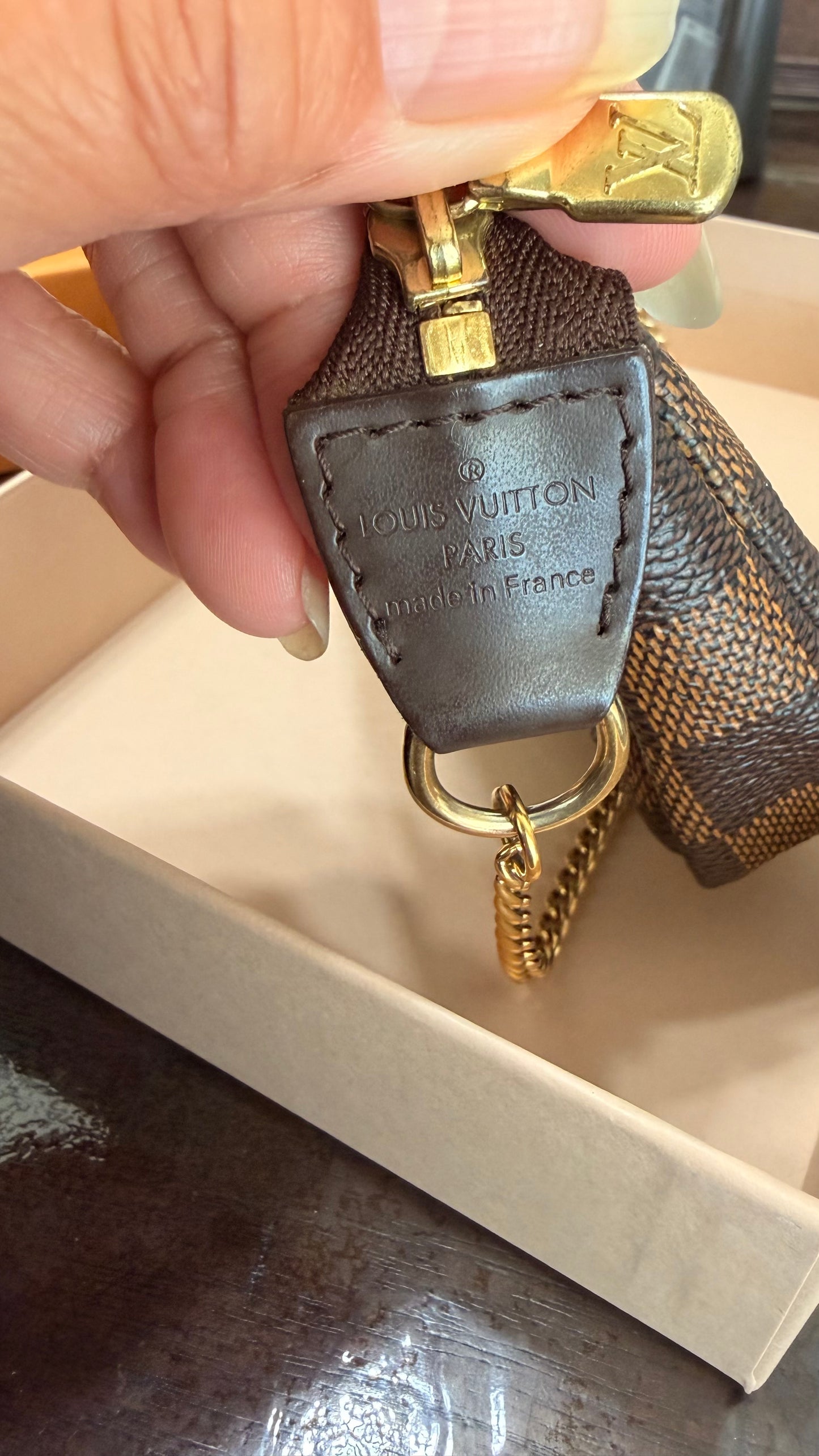 Limited Edition Mini Pochette Accessories