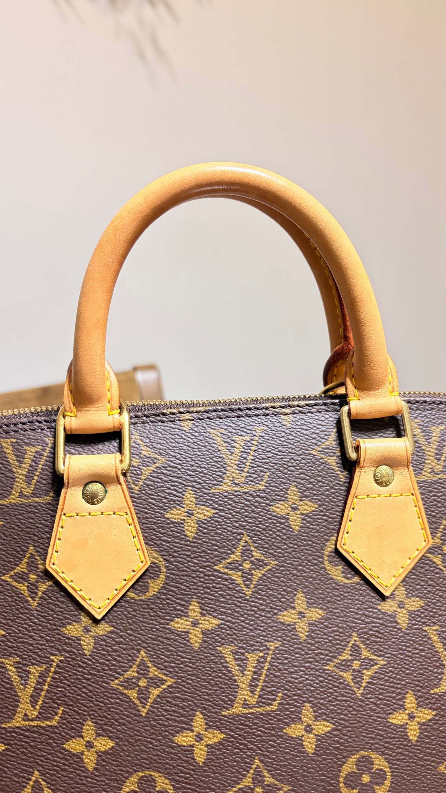 Alma PM in Monogram