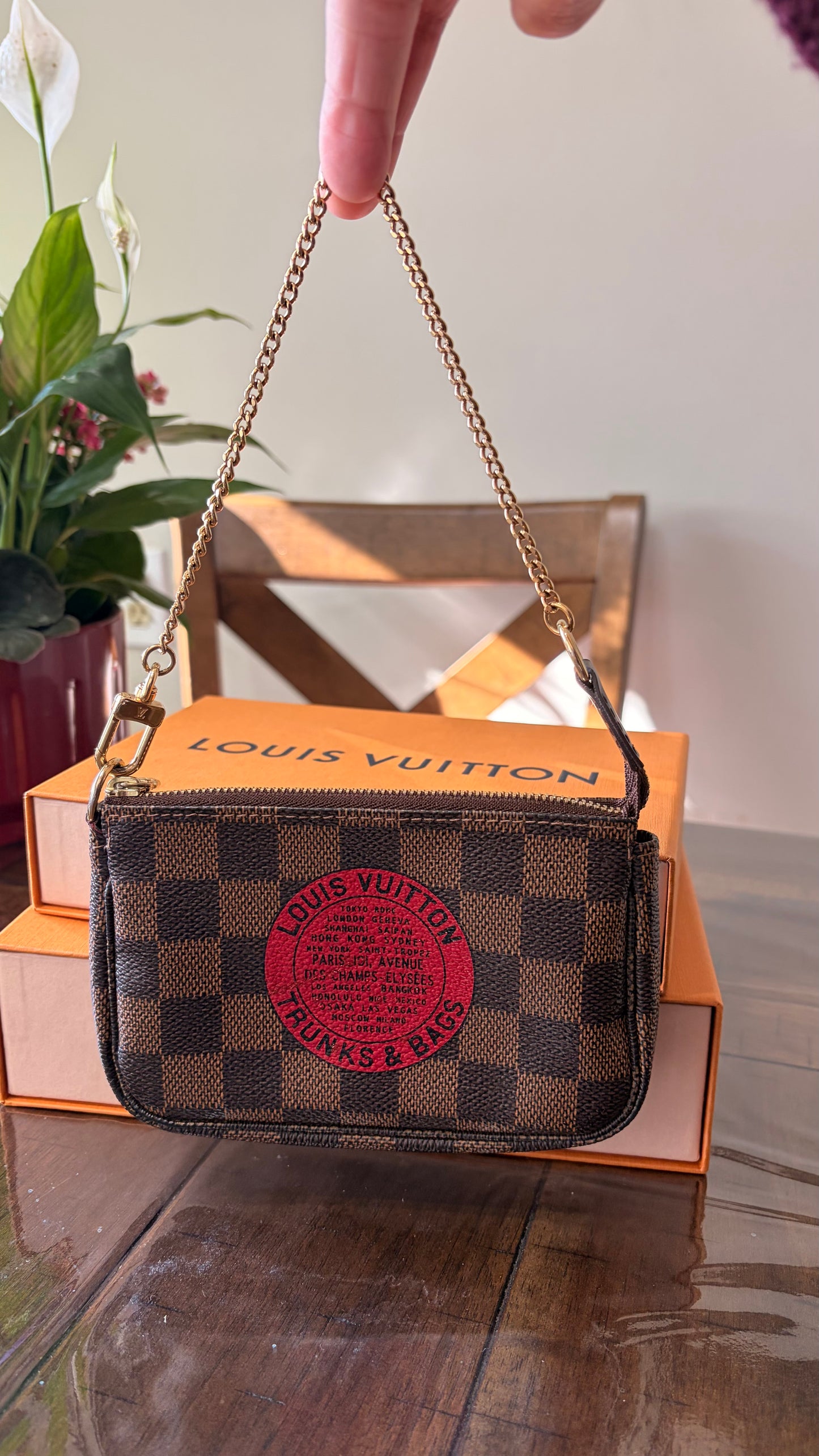 Limited Edition Mini Pochette Accessories