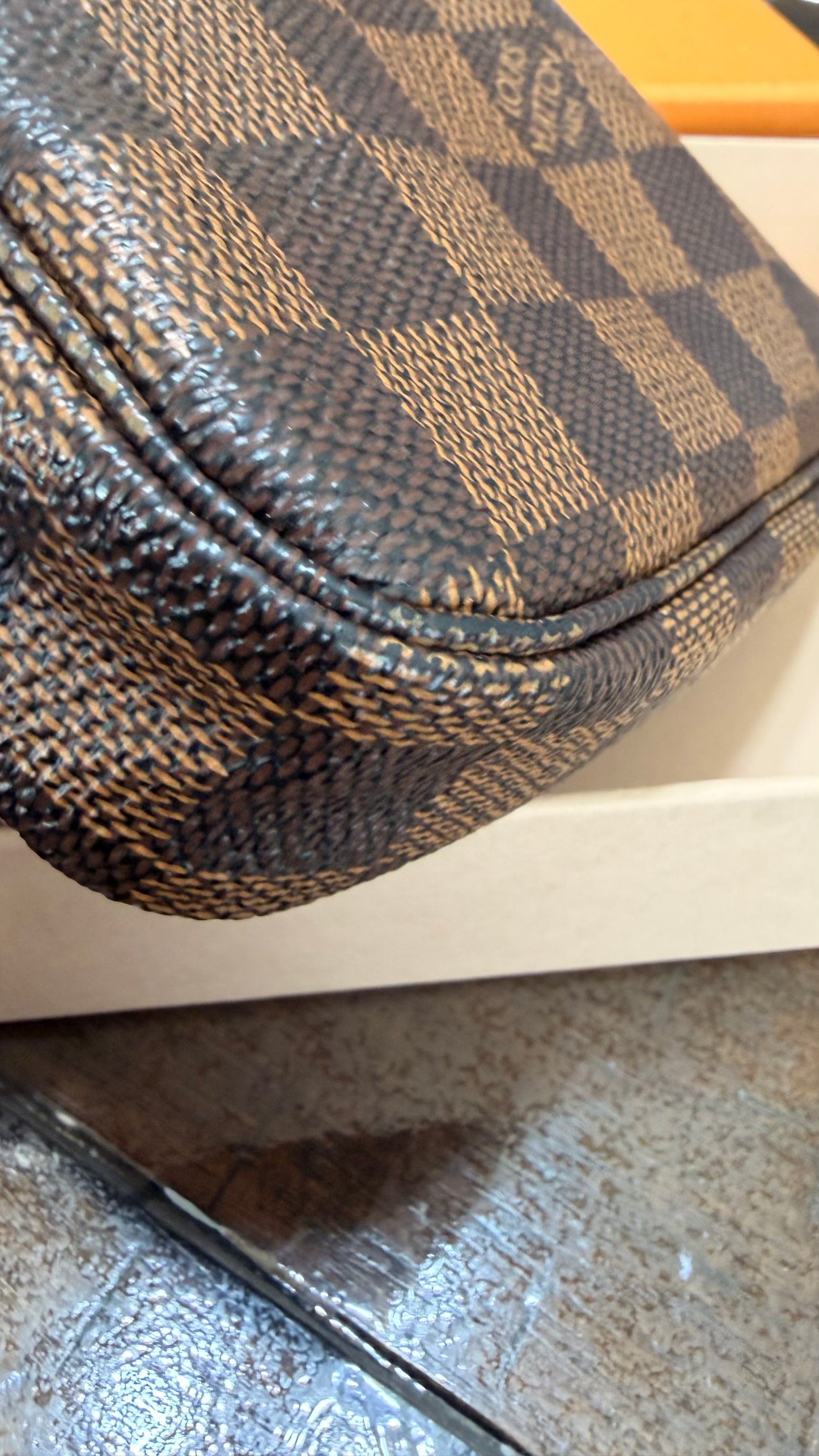 Limited Edition Mini Pochette Accessories