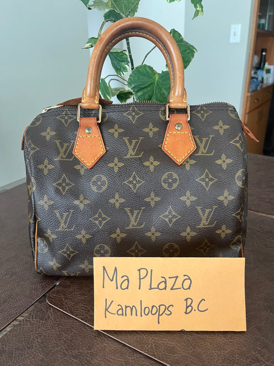 Speedy 25 in Monogram