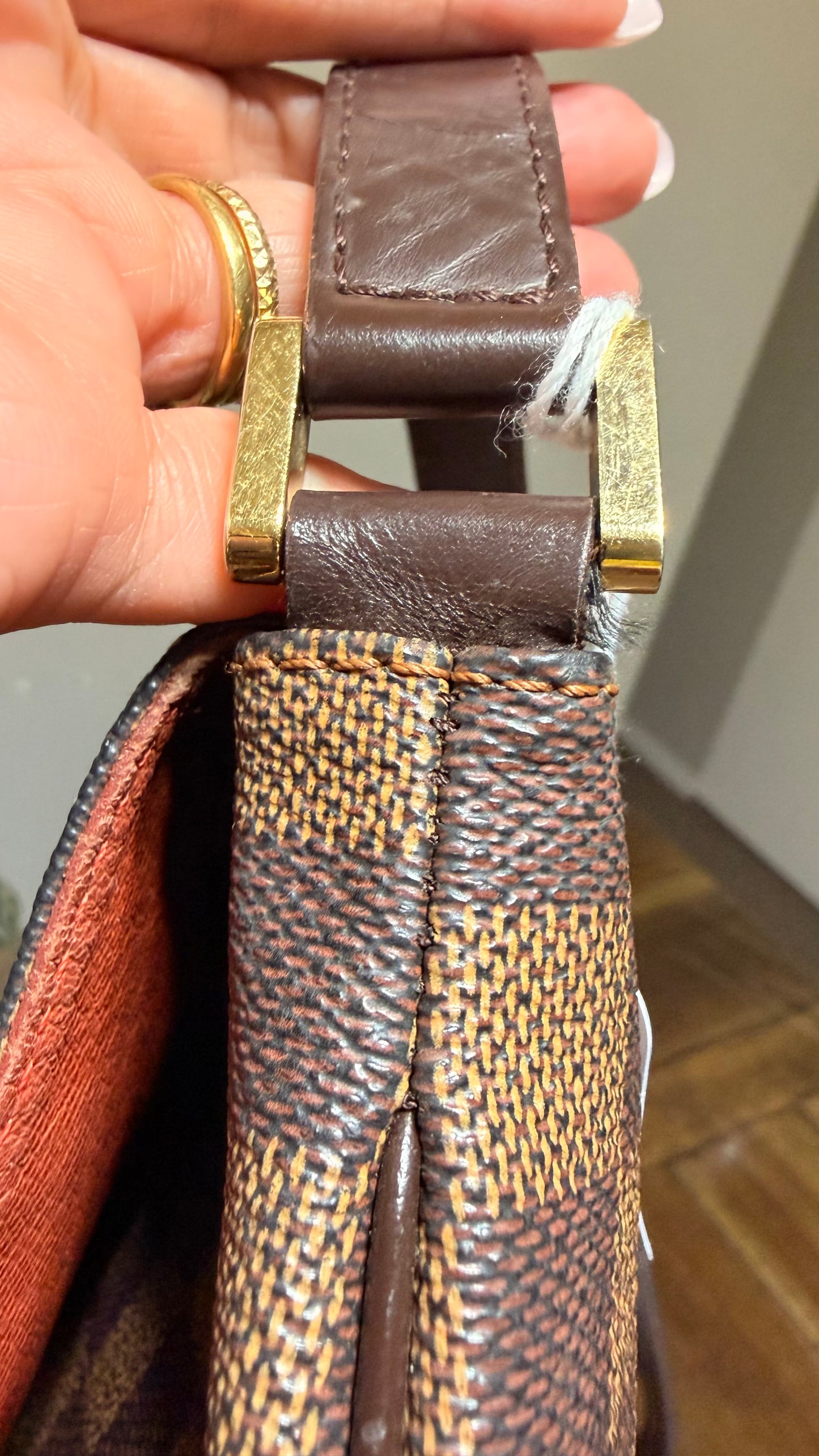 Musette Salsa GM