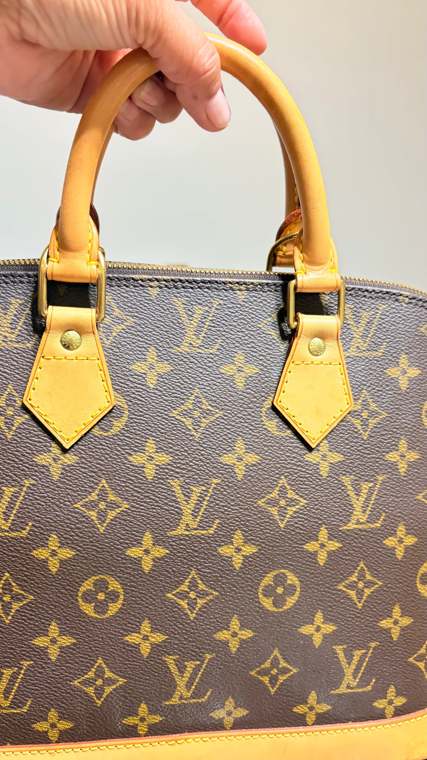 Alma PM in Monogram