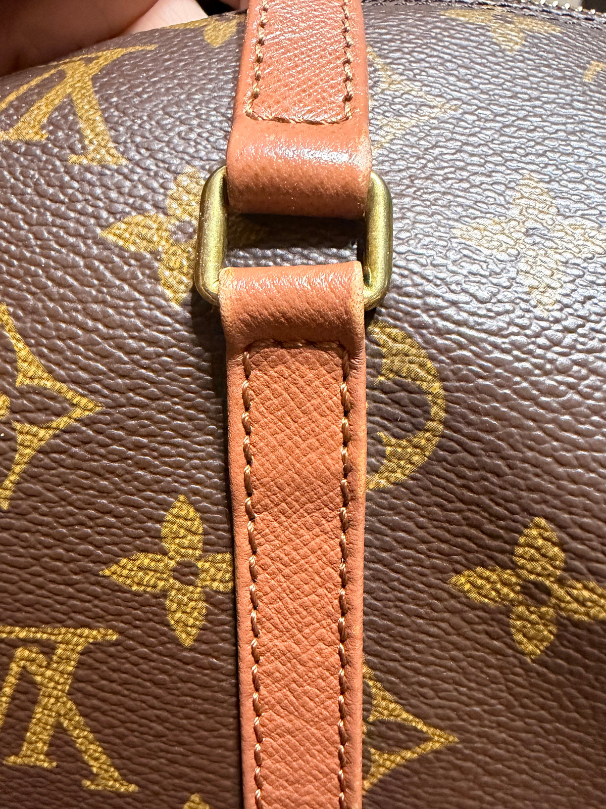 Papillon In Monogram 30