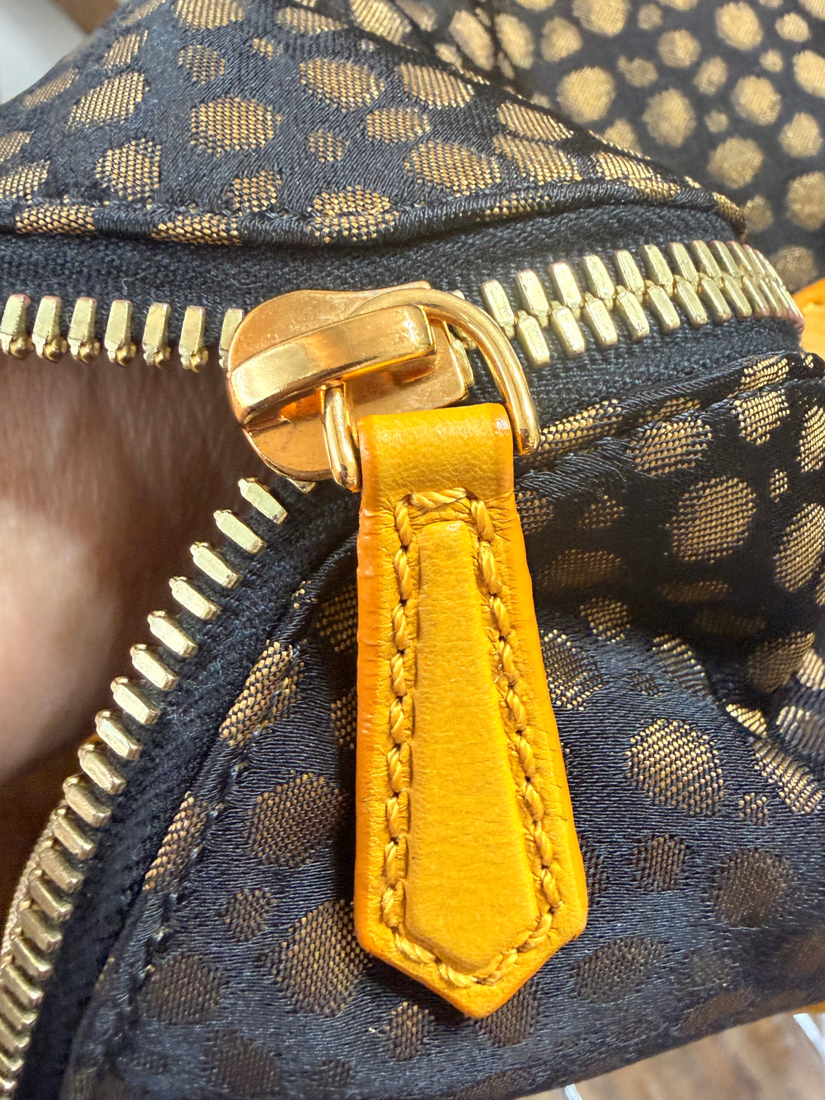 Fendi Chamelion Tote Bag