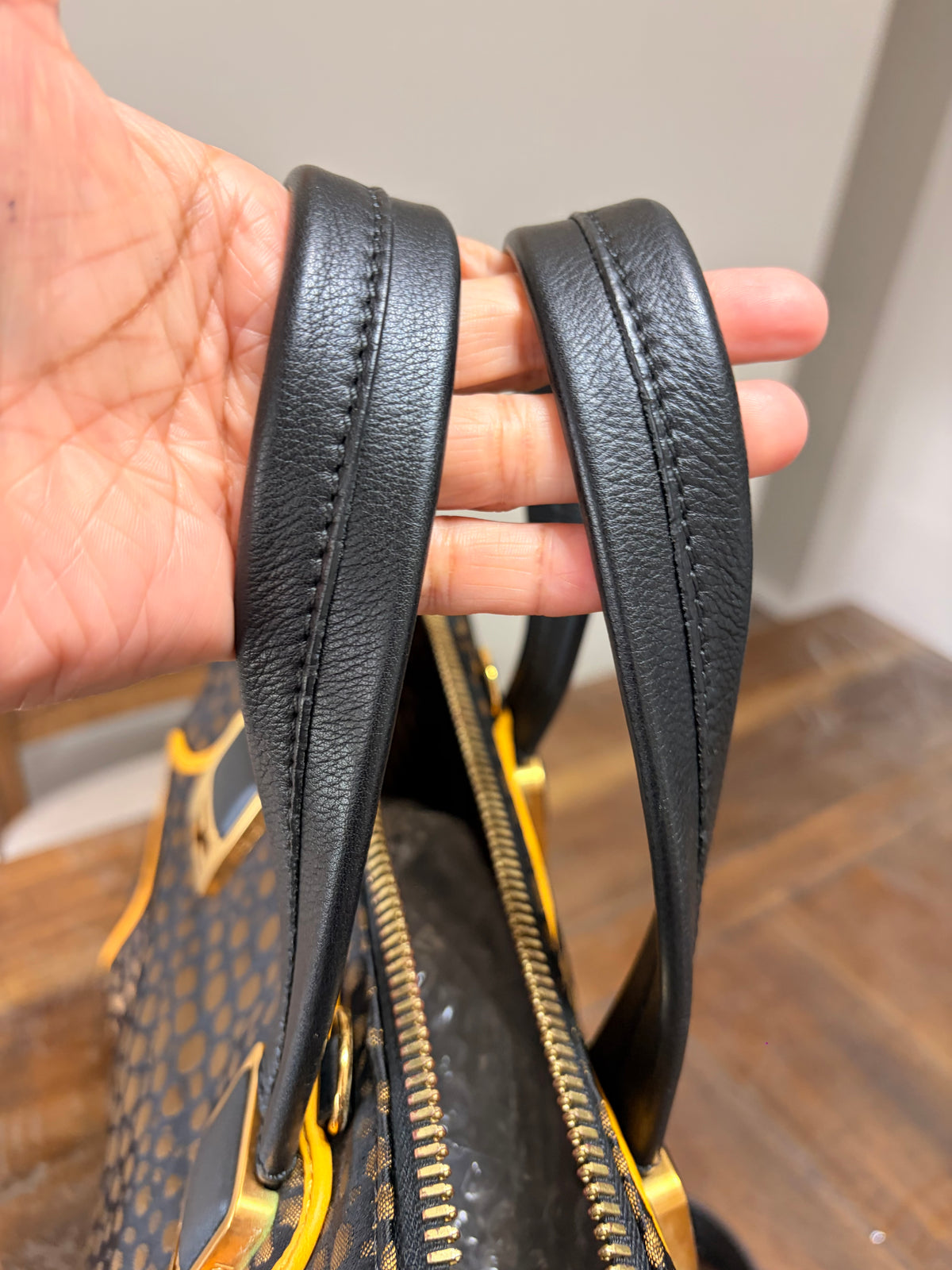 Fendi Chamelion Tote Bag