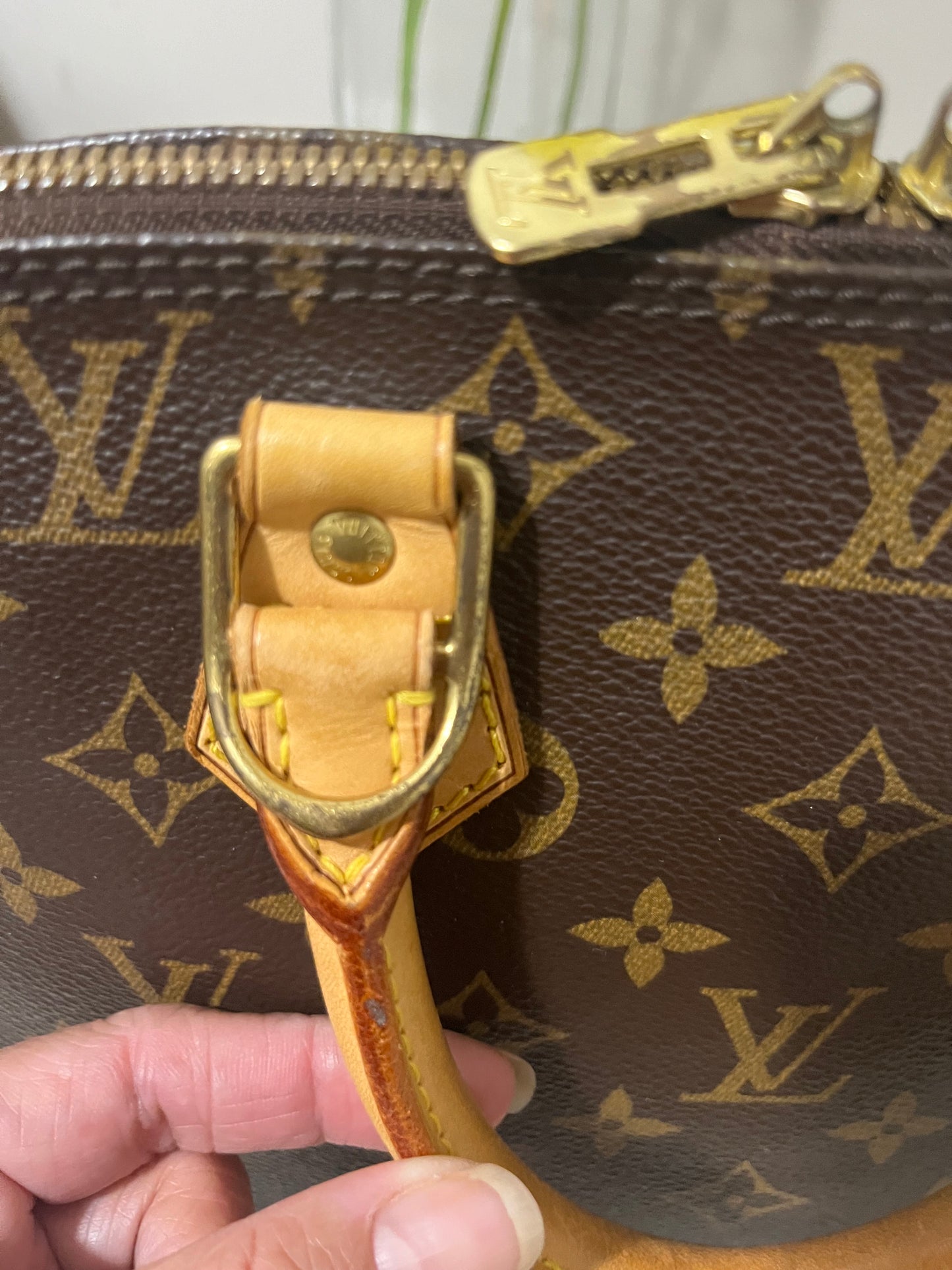 Alma PM in Monogram