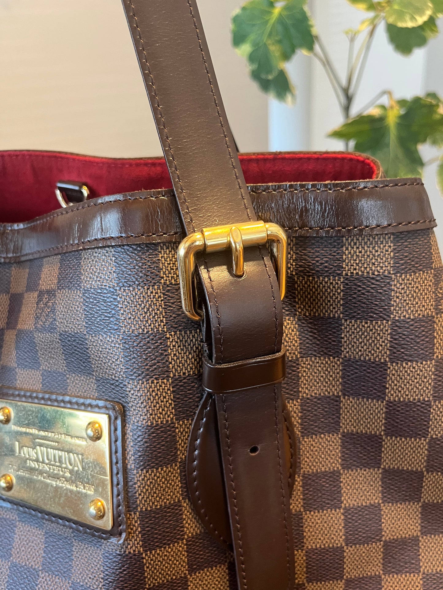 Hampstead in Damier MM