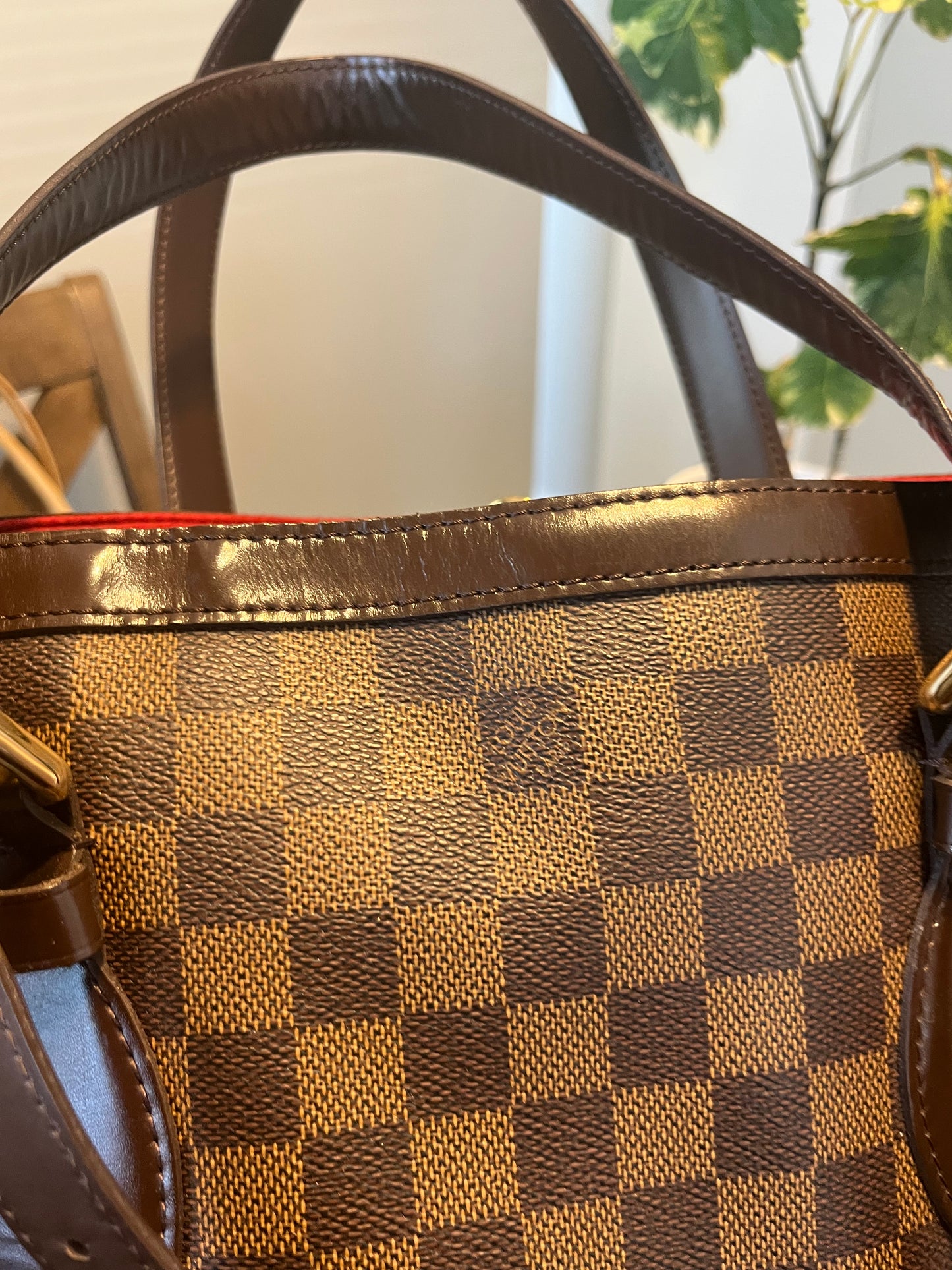 Hampstead in Damier MM