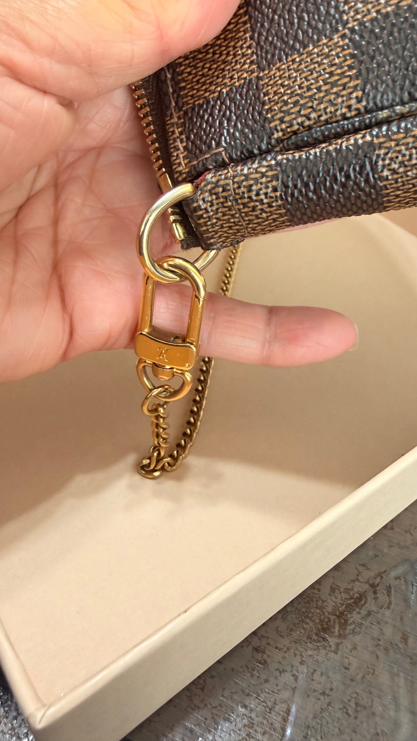 Limited Edition Mini Pochette Accessories