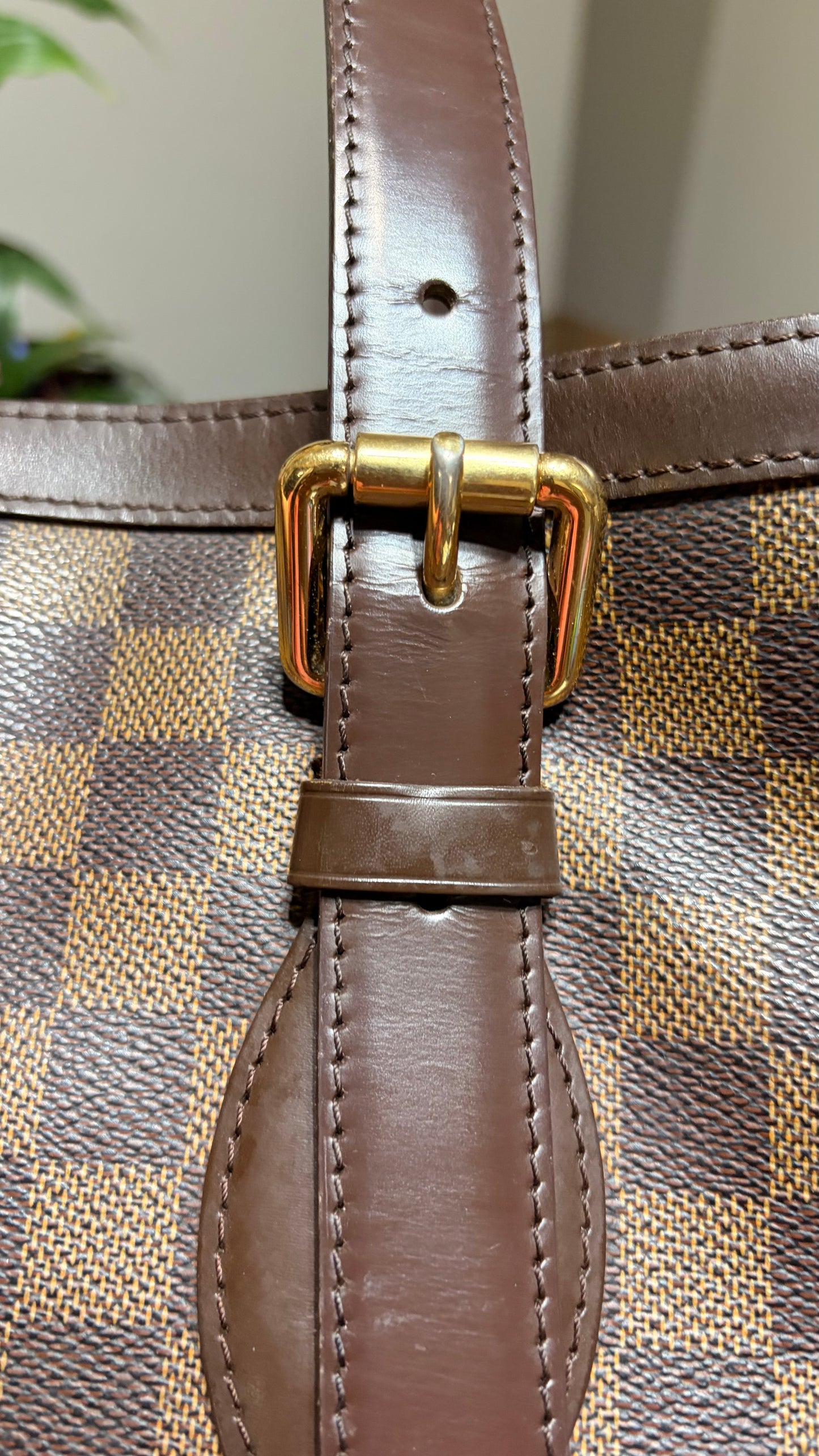 Hampstead in Damier MM
